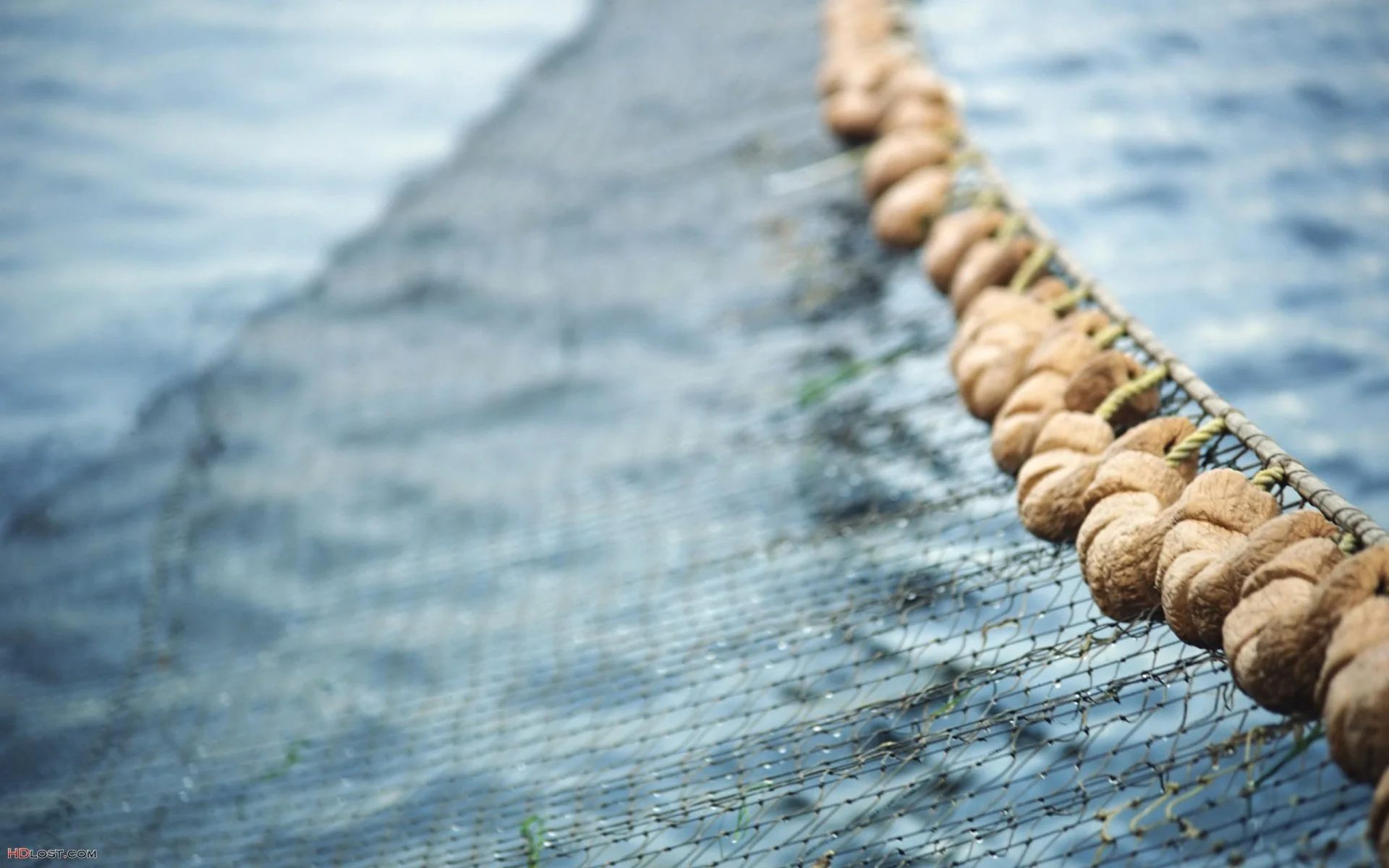 People Unknowingly Consuming Micro-Plastics  