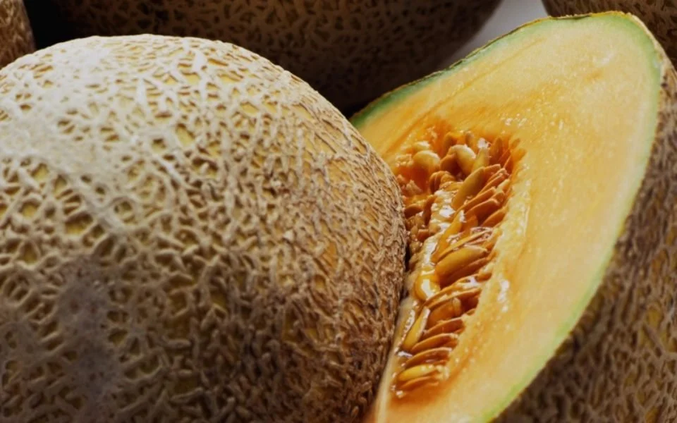 Salmonella Outbreak in NT Preventable