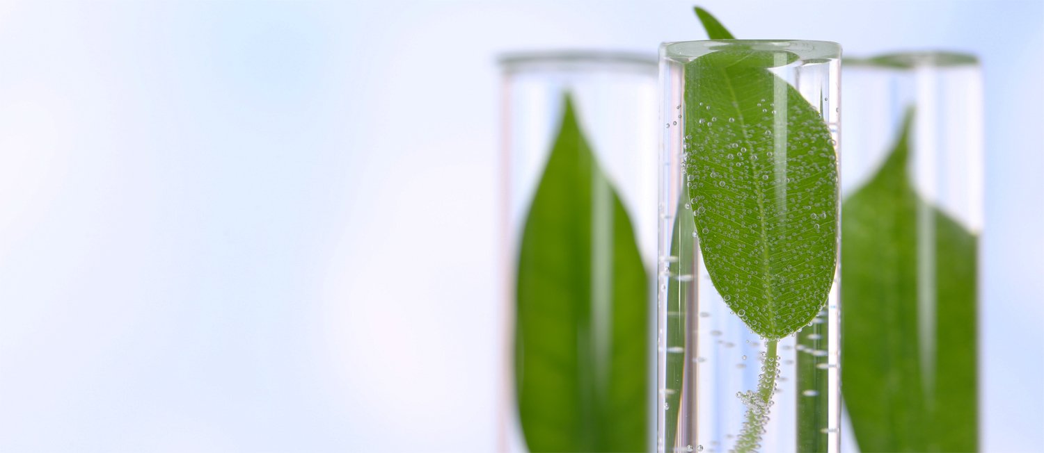 The Guardian Goes Green