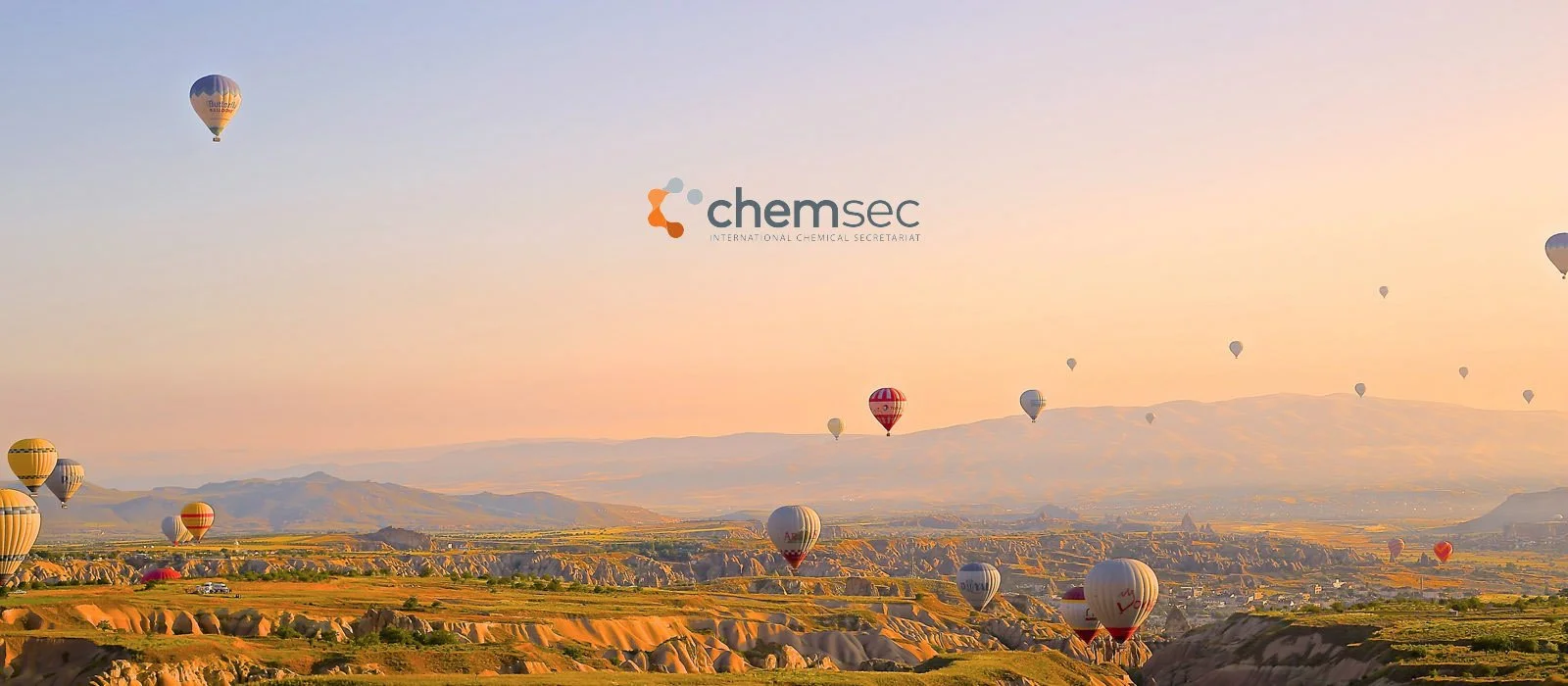 We can change the future. Now. 