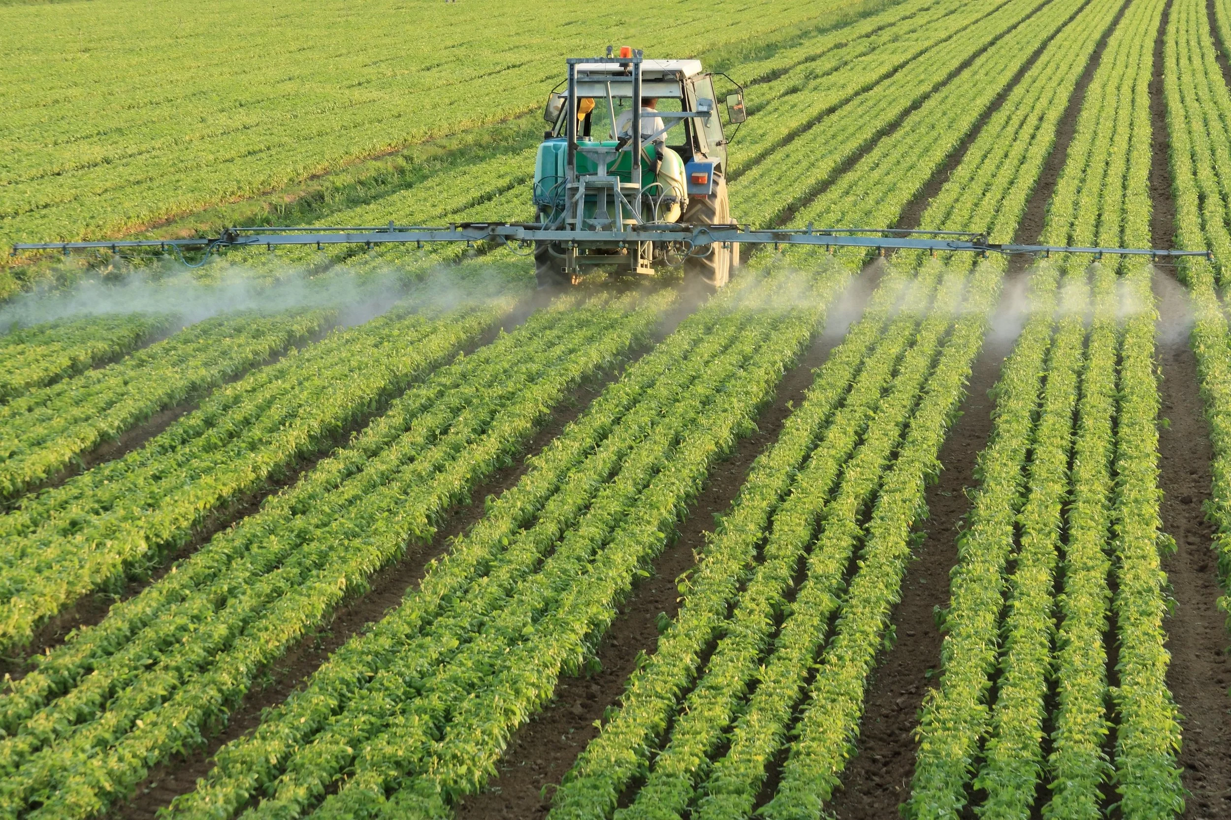 Farm pesticides link in Parkinson's rise