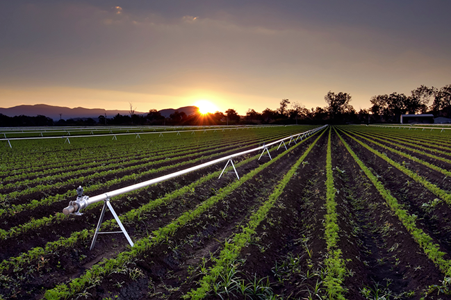 Australian agricultural institute investigating benefits of electrolysed water on crops