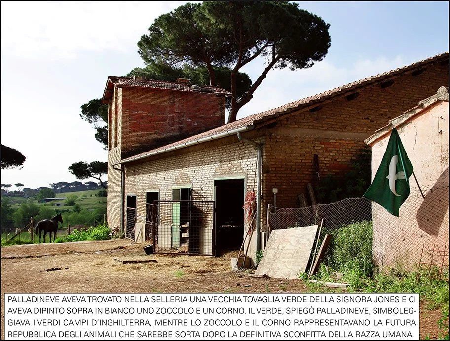 ORWELL.01.ITALIANO.jpg