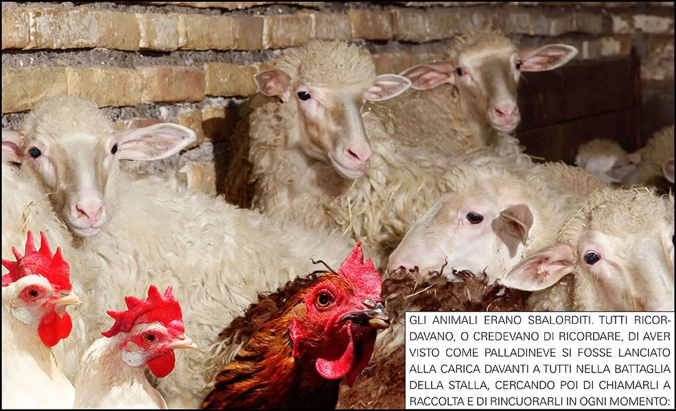 ORWELL.03.ITALIANO.jpg
