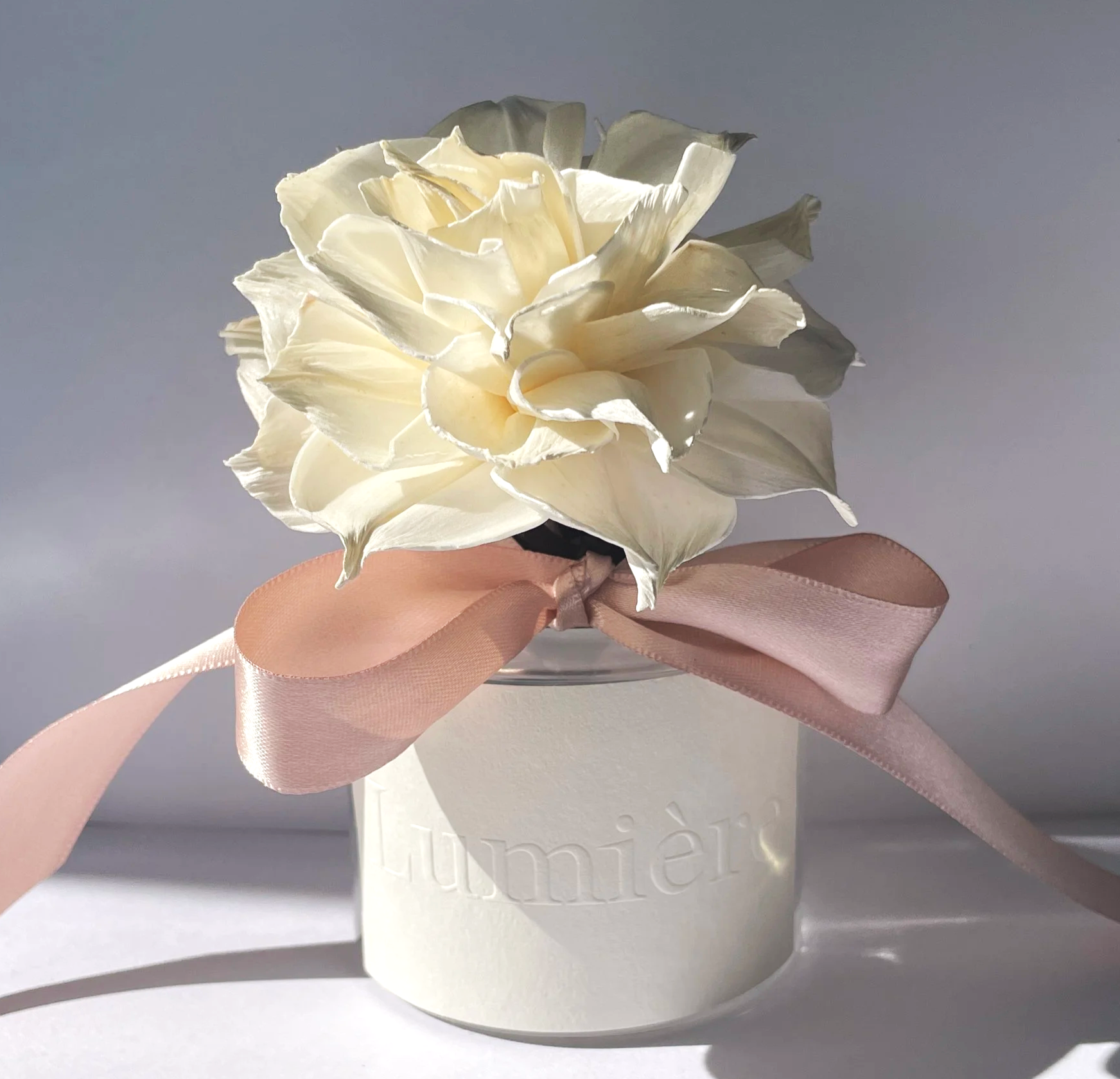 Freesia— Freesia · Bergamot · Sweet orange · White tea · Lavender · White musk