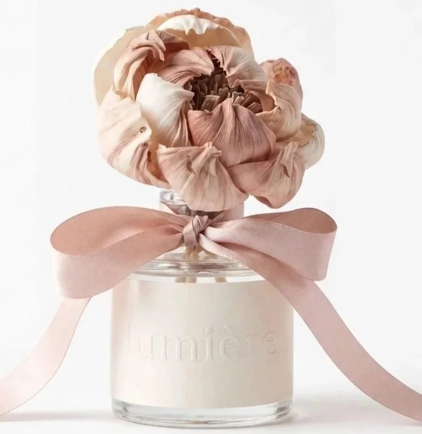 Vétiver — Vetiver · Cedarwood · Frankincense · Rose · Amber · Patchouli