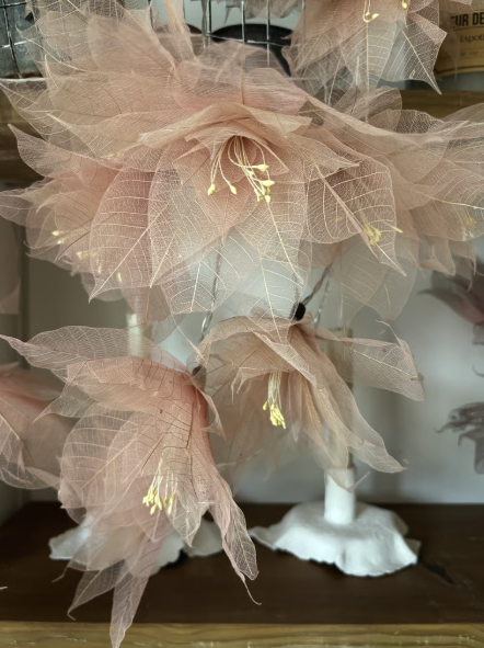 Screenshot 2025-12-19 at 21.51.46.png