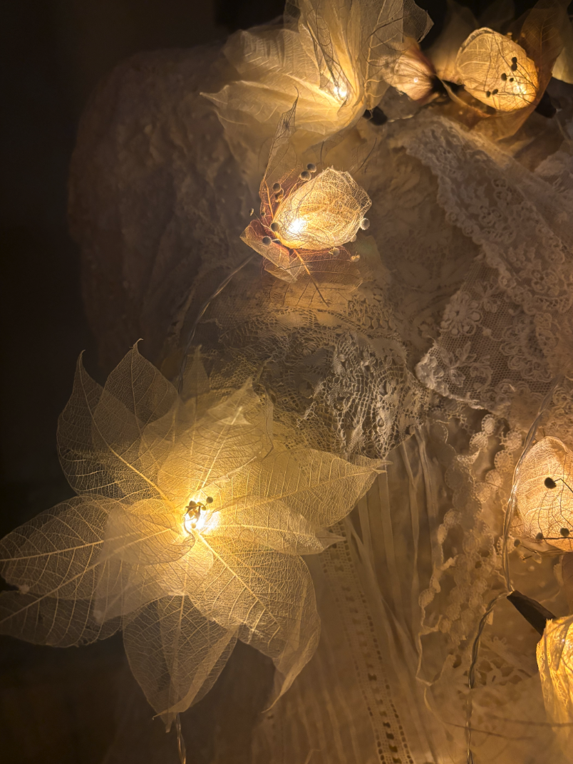 Screenshot 2025-12-19 at 22.51.55.png