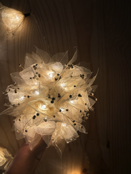 Screenshot 2025-12-19 at 21.54.47.png