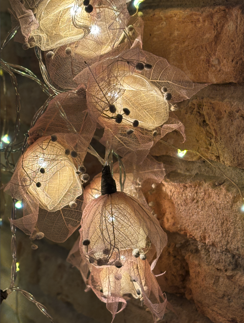 Screenshot 2025-12-19 at 23.07.54.png