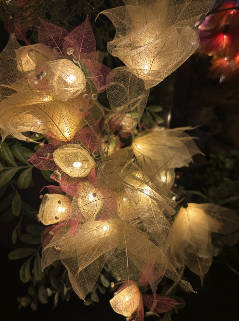 Screenshot 2025-12-19 at 22.59.30.png