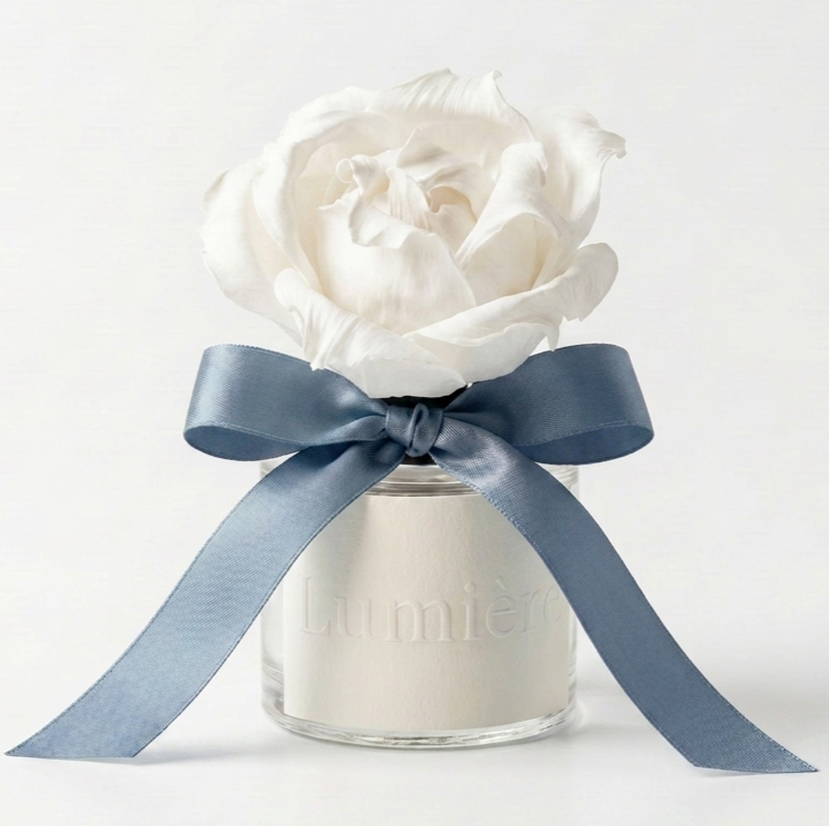 Provence — Lavender · Bergamot · Honey · Cedarwood · Geranium · White musk