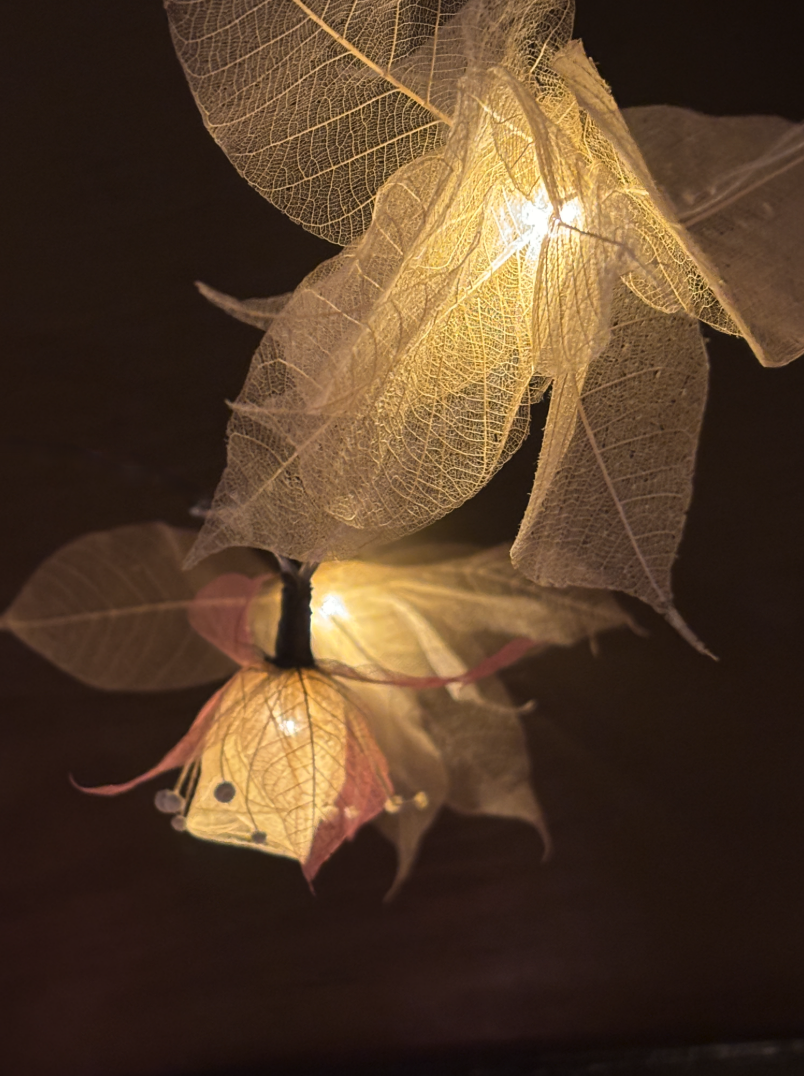 Screenshot 2025-12-19 at 22.59.43.png