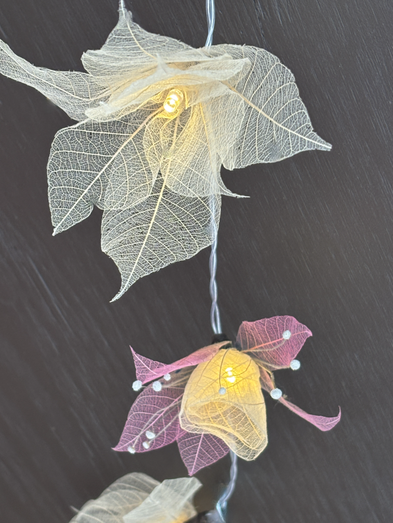 Screenshot 2025-12-19 at 22.59.55.png