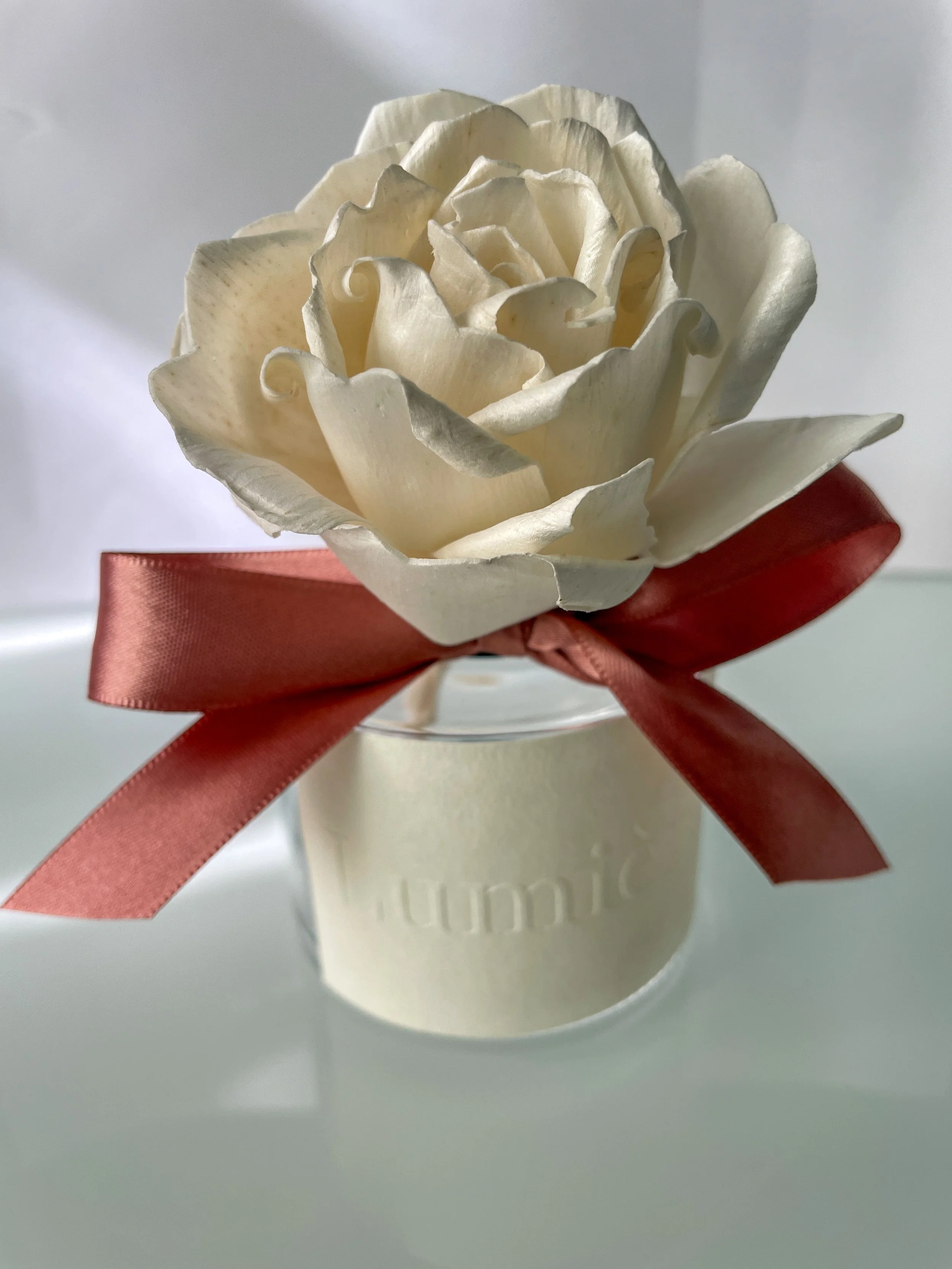 IMG_0891 2.JPG (Copy) (Copy) (Copy) (Copy) (Copy) (Copy) (Copy) (Copy)