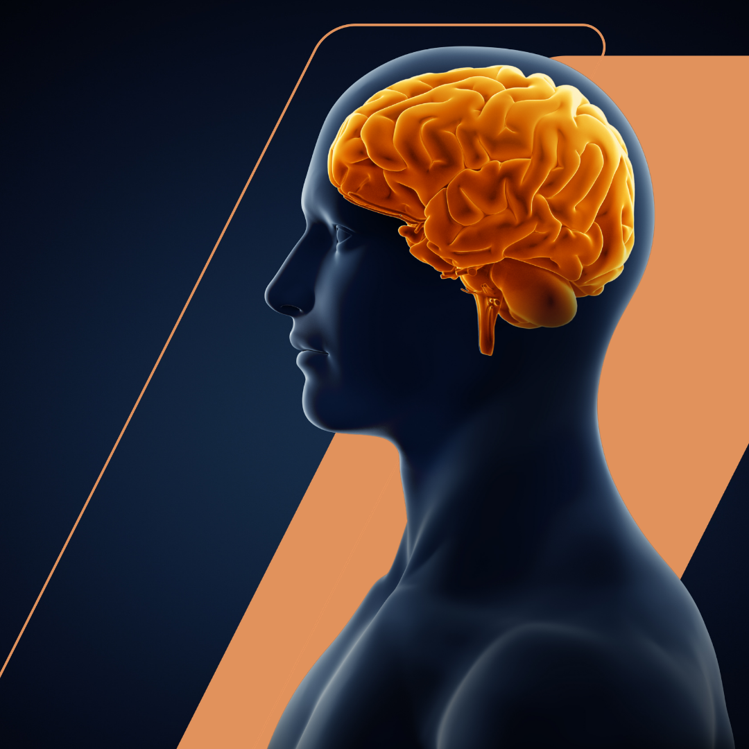 Your buyer's brain hasn't had an update in 50,000 years. Your marketing should know that.