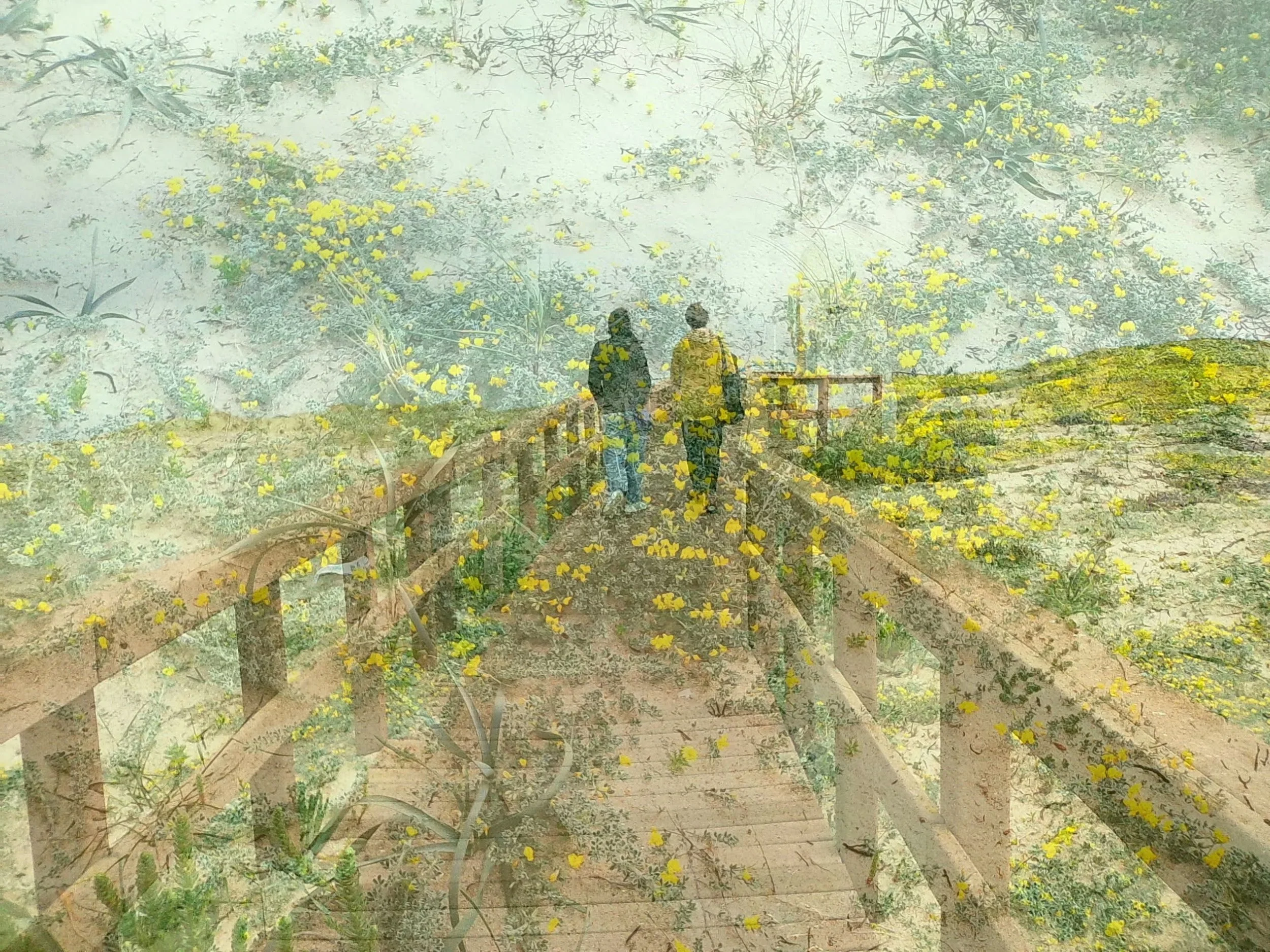 Quando passo | Melides