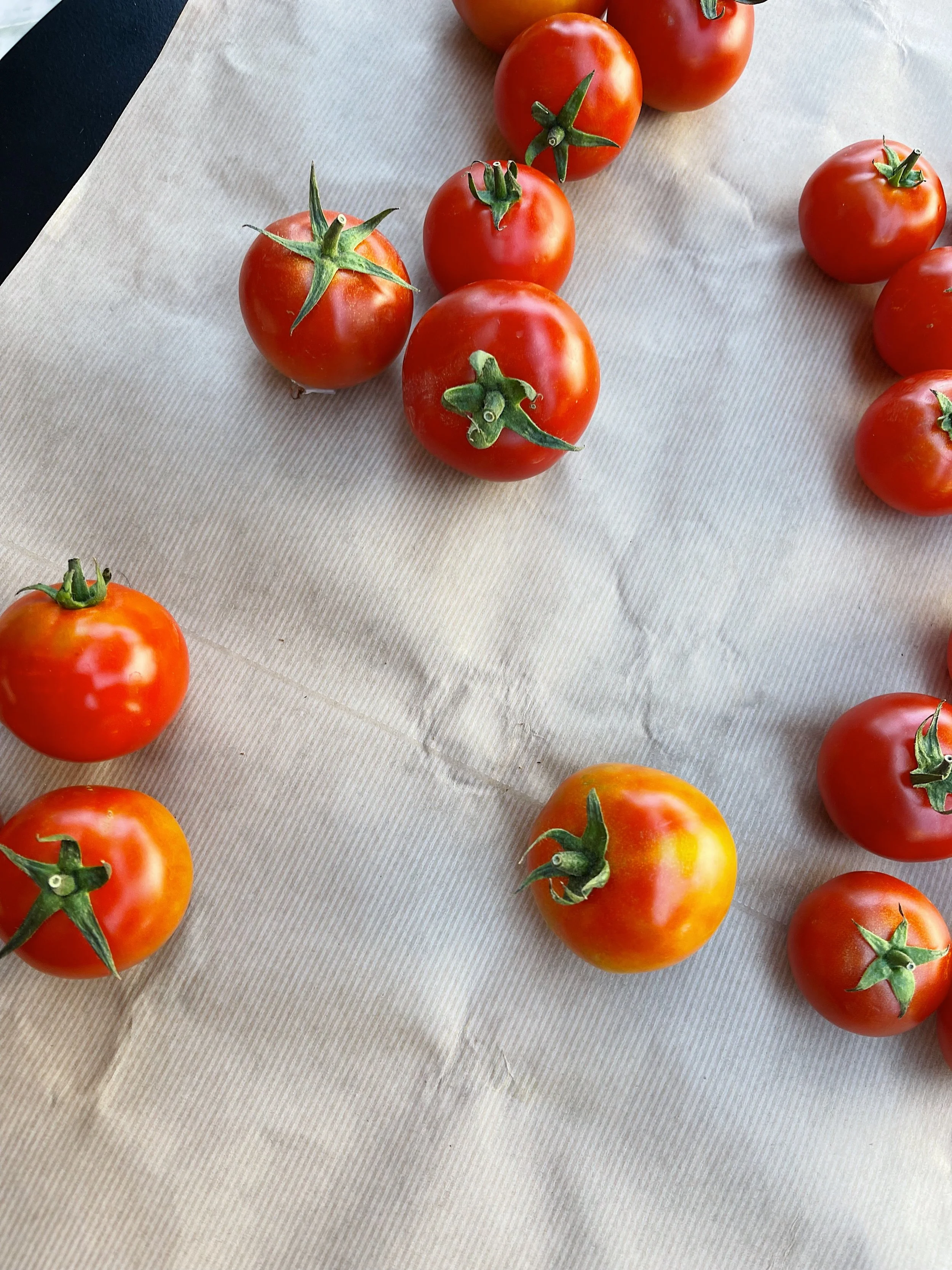 Several ripe red tomatoes with green stems arranged on a white textured surface.