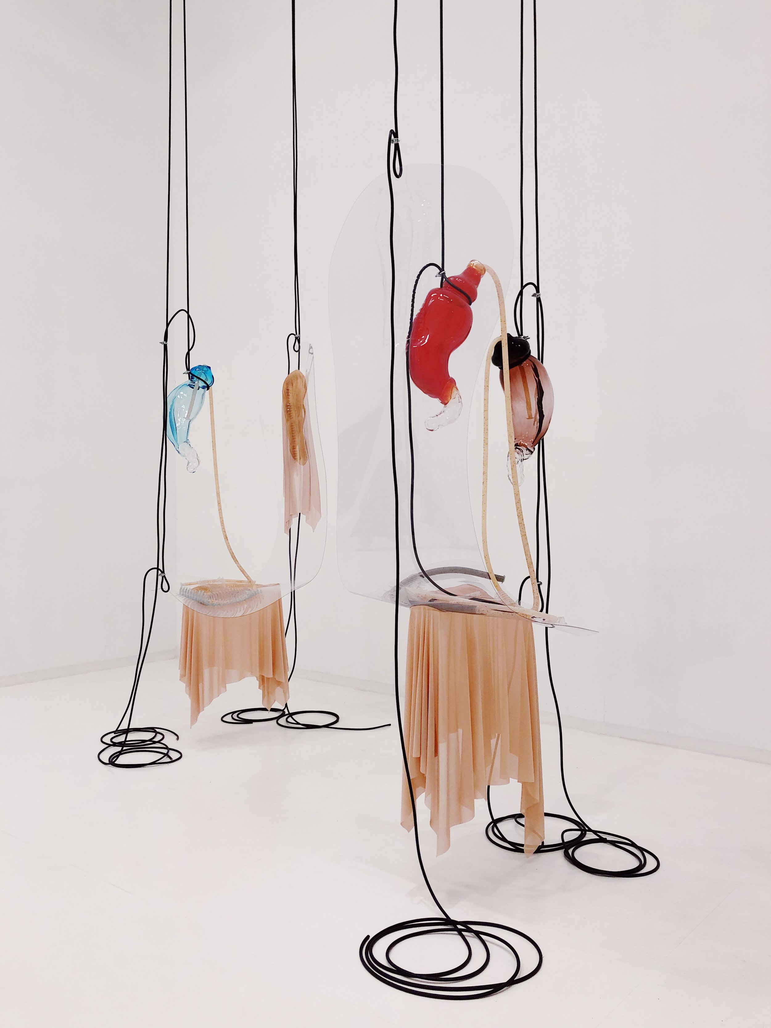 Contemporary art installation featuring hanging glass sculptures resembling organs, with wire structures and fabric elements.