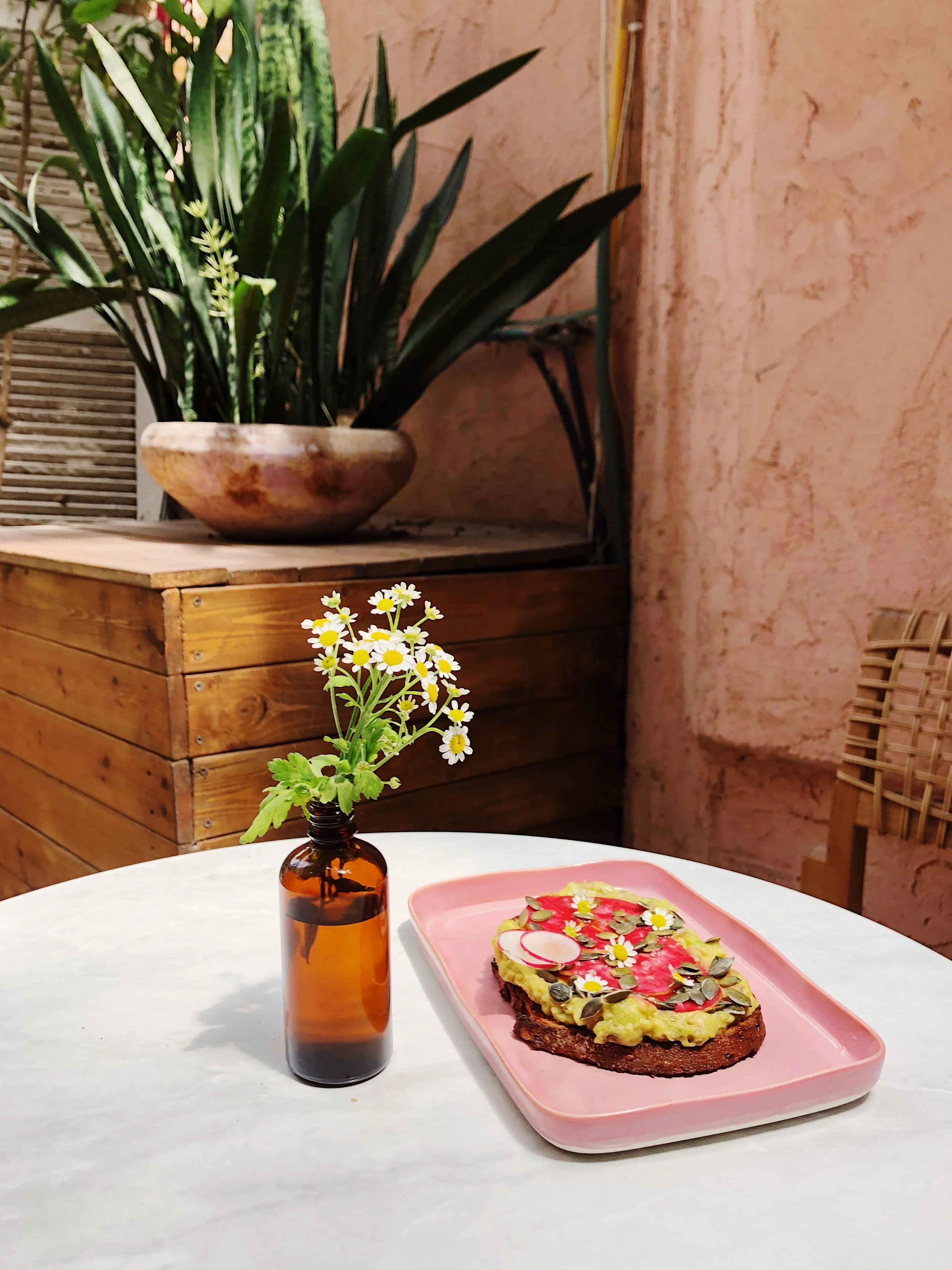 A pink rectangular plate with a slice of toast topped with mashed avocado, radish slices, pumpkin seeds, and small daisies. Next to the plate is a small amber glass bottle holding daisies. The setting appears to be indoors with a large leafy plant in