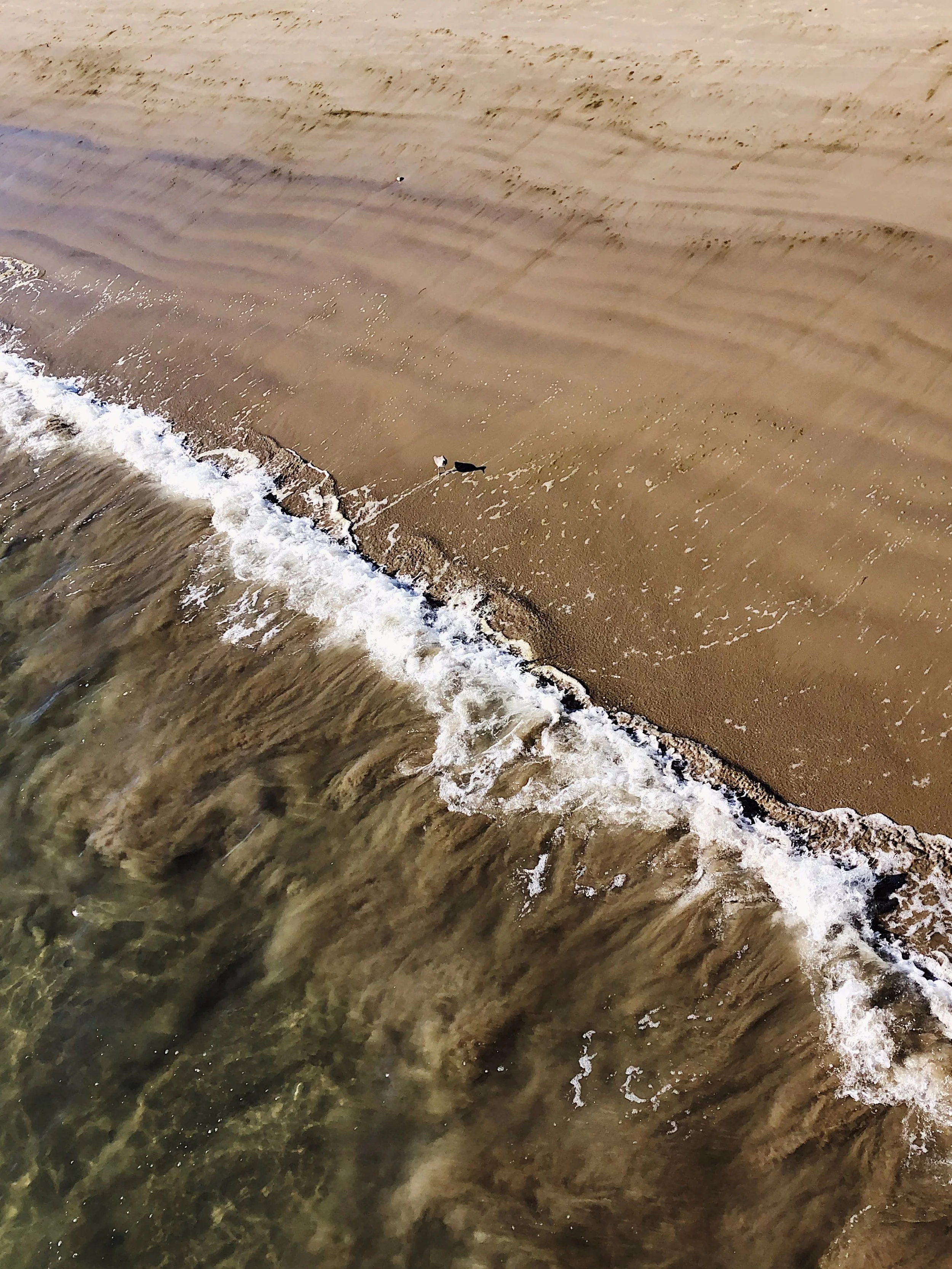 Aerial view of a sandy beach with gentle waves washing ashore, and a buoy floating in the water near the shoreline.