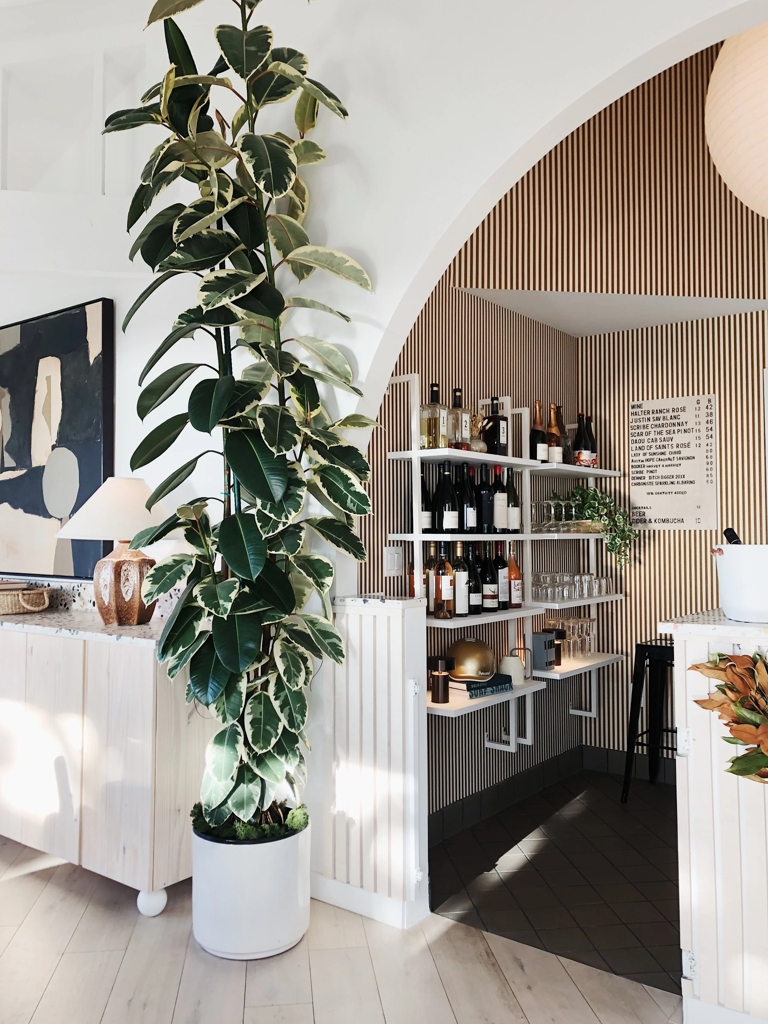 Interior view of a cafe or bar area with a large potted plant, a bookshelf with wine bottles and glasses, and a menu on the wall.