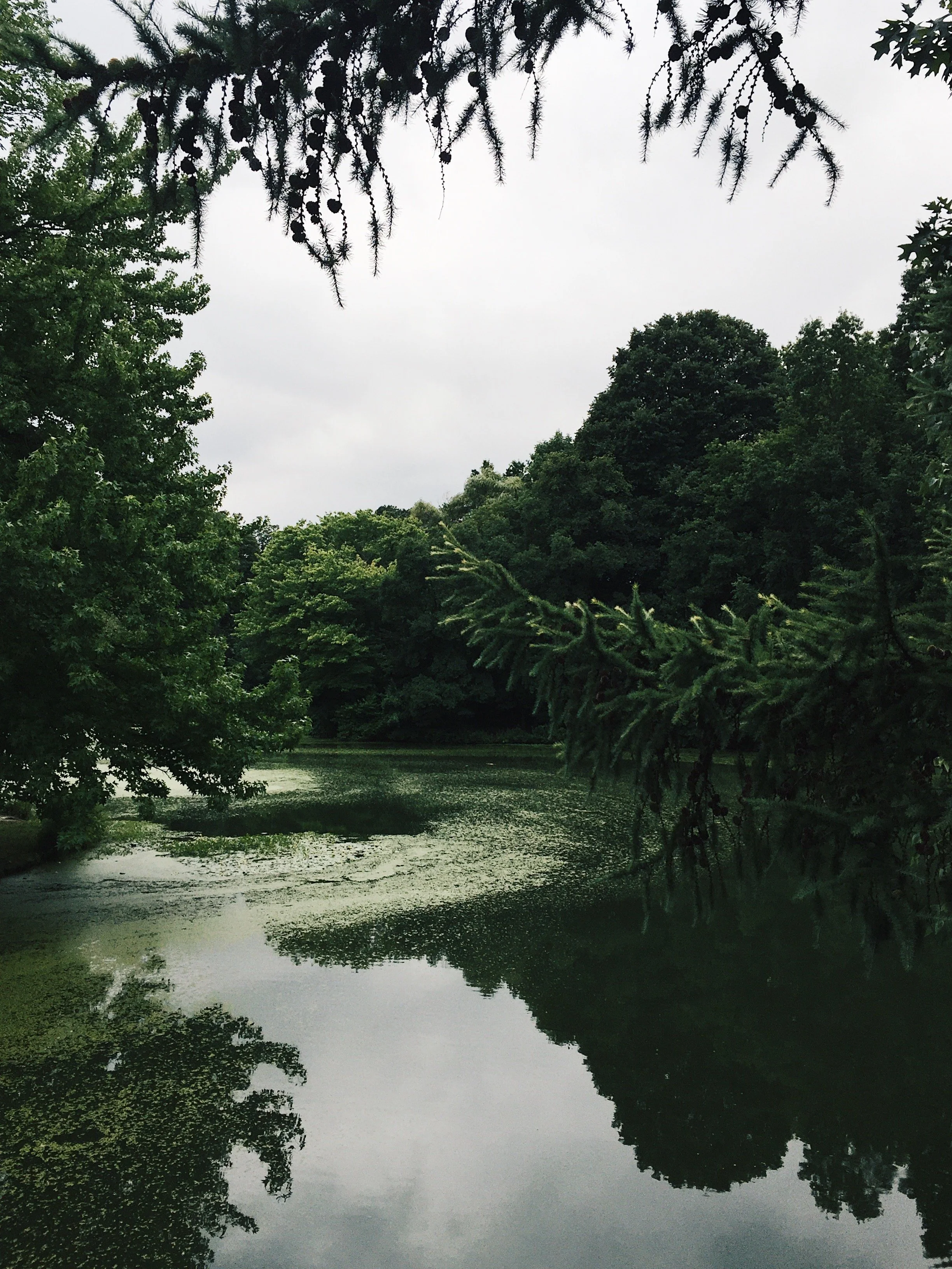 A peaceful lake surrounded by trees with an overcast sky and water reflection
