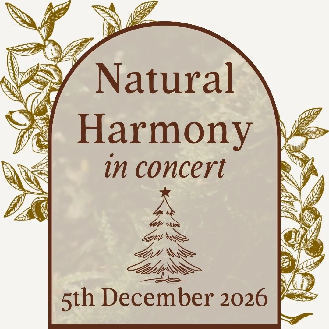 Natural Harmony in concert