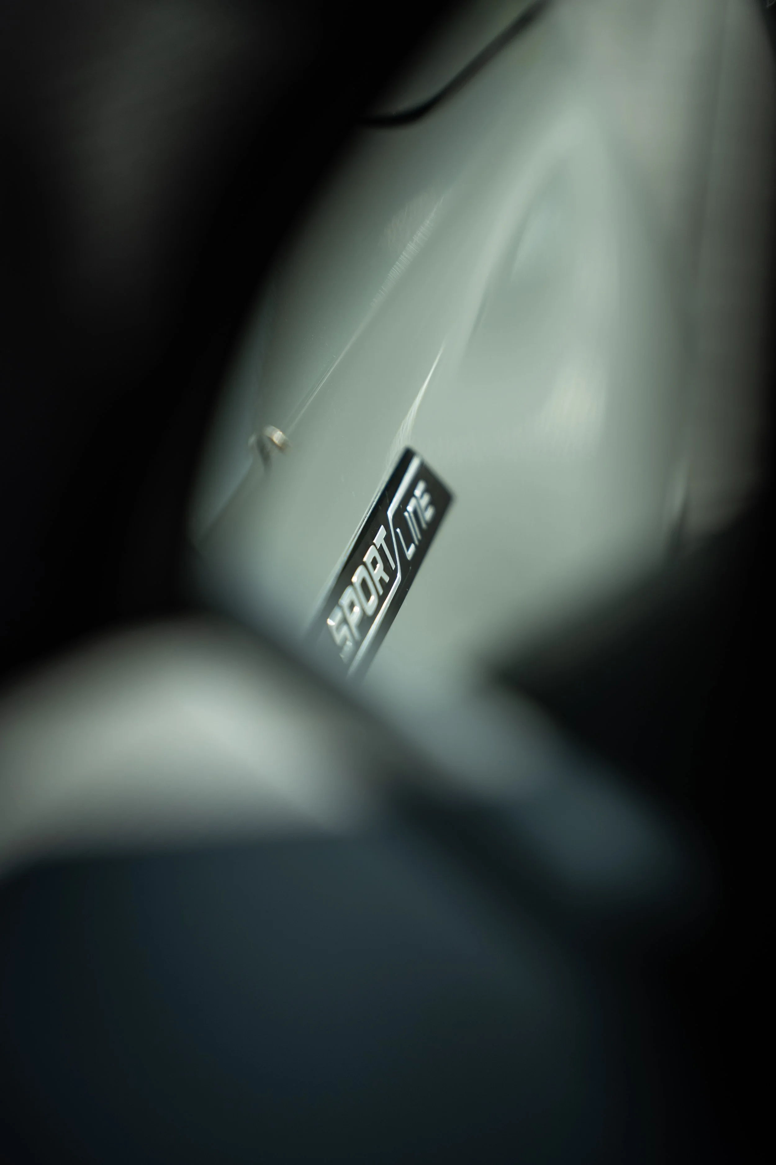 DSC08204 2.JPG