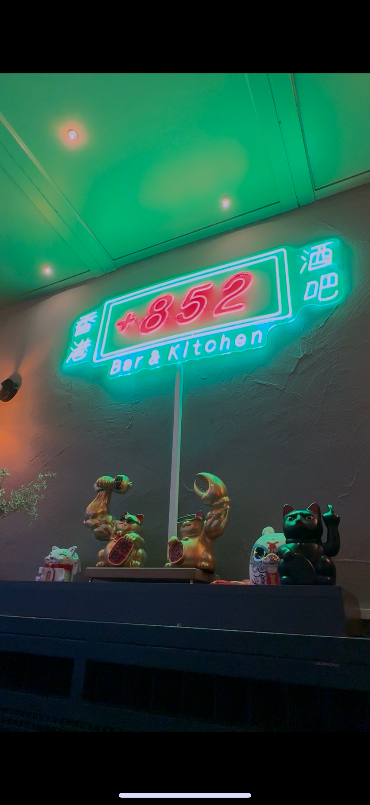 IMG_2700+2.png