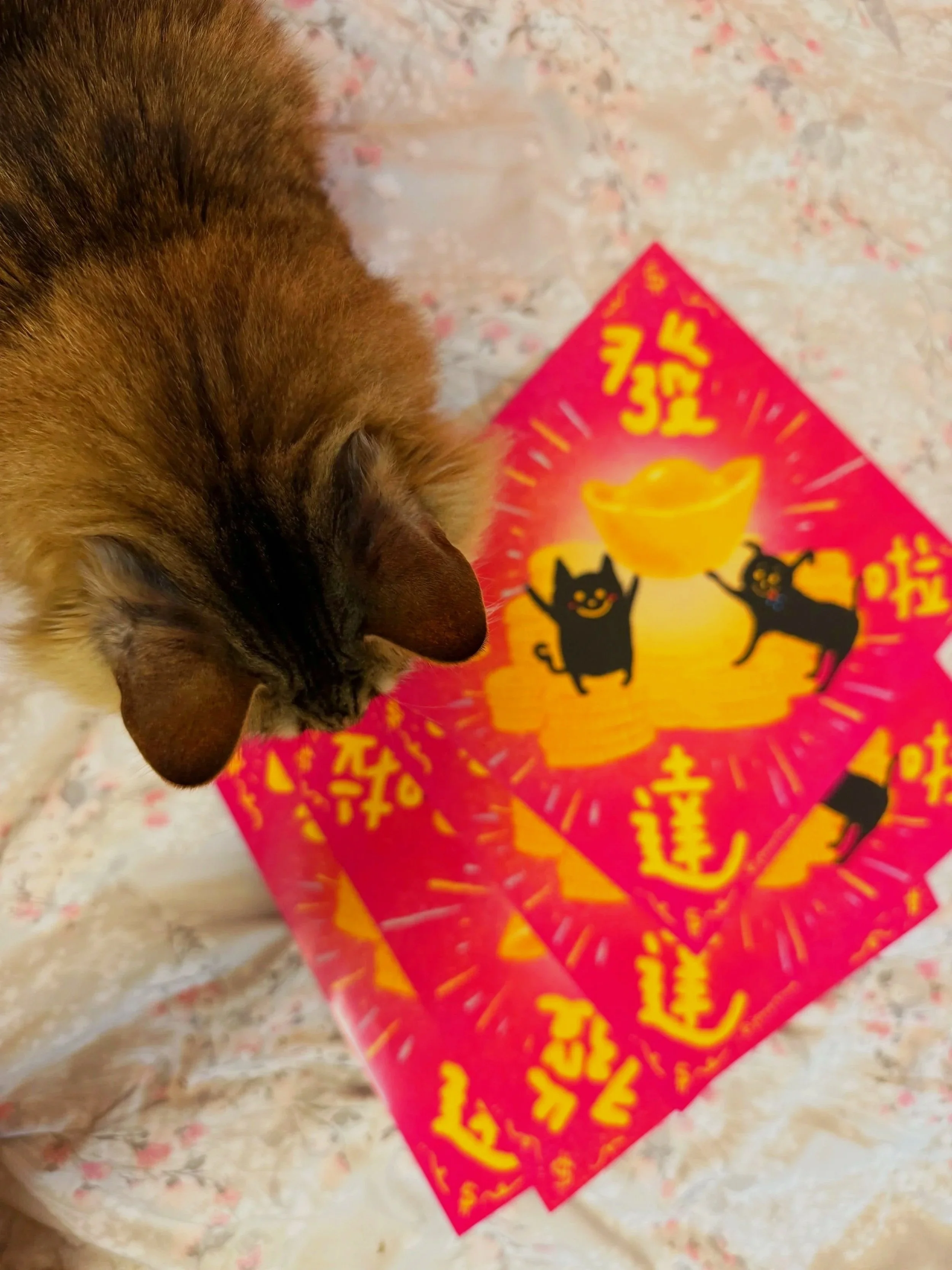 揮春 | Spring Couplet