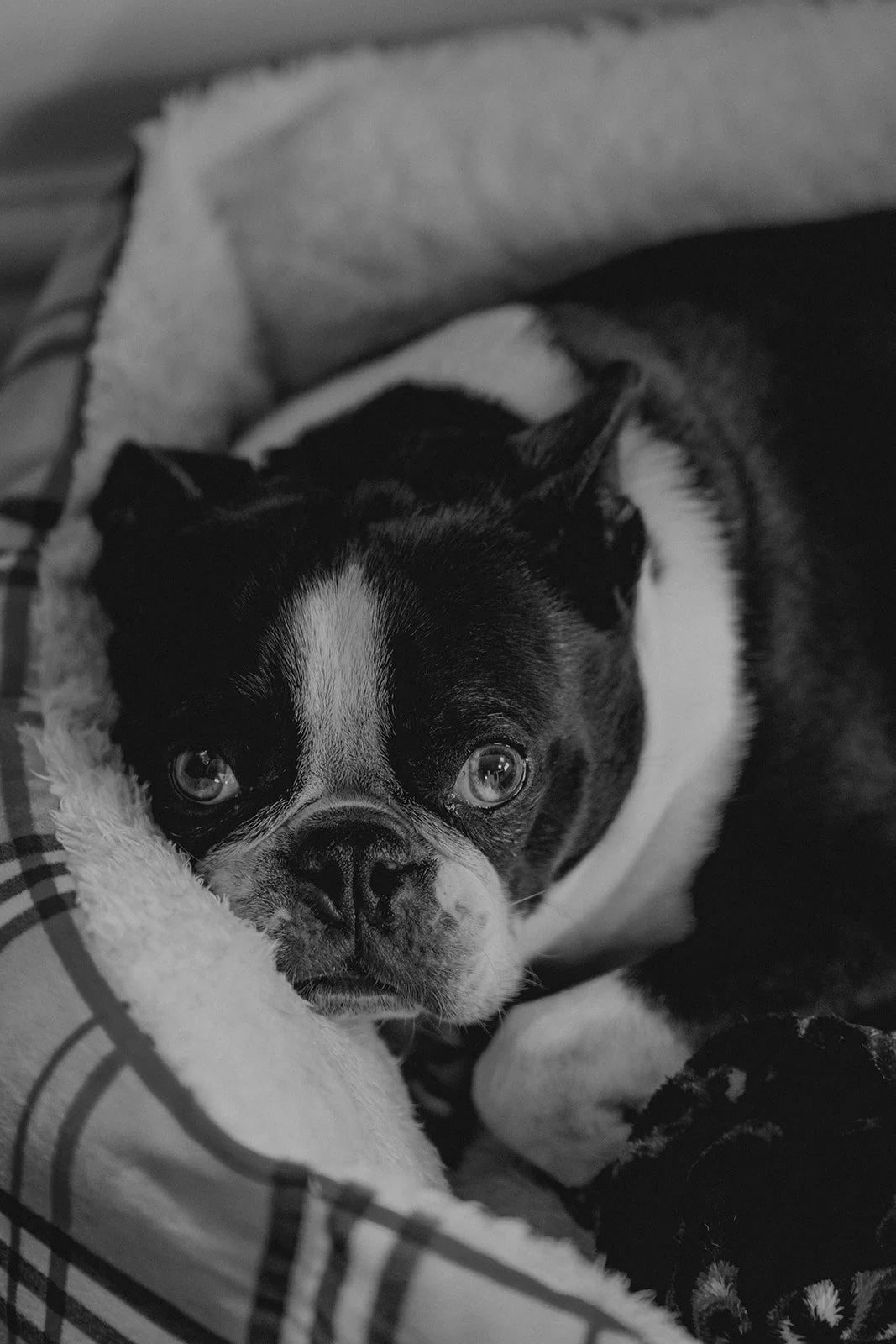 Grace & Karl-37_websize.jpg