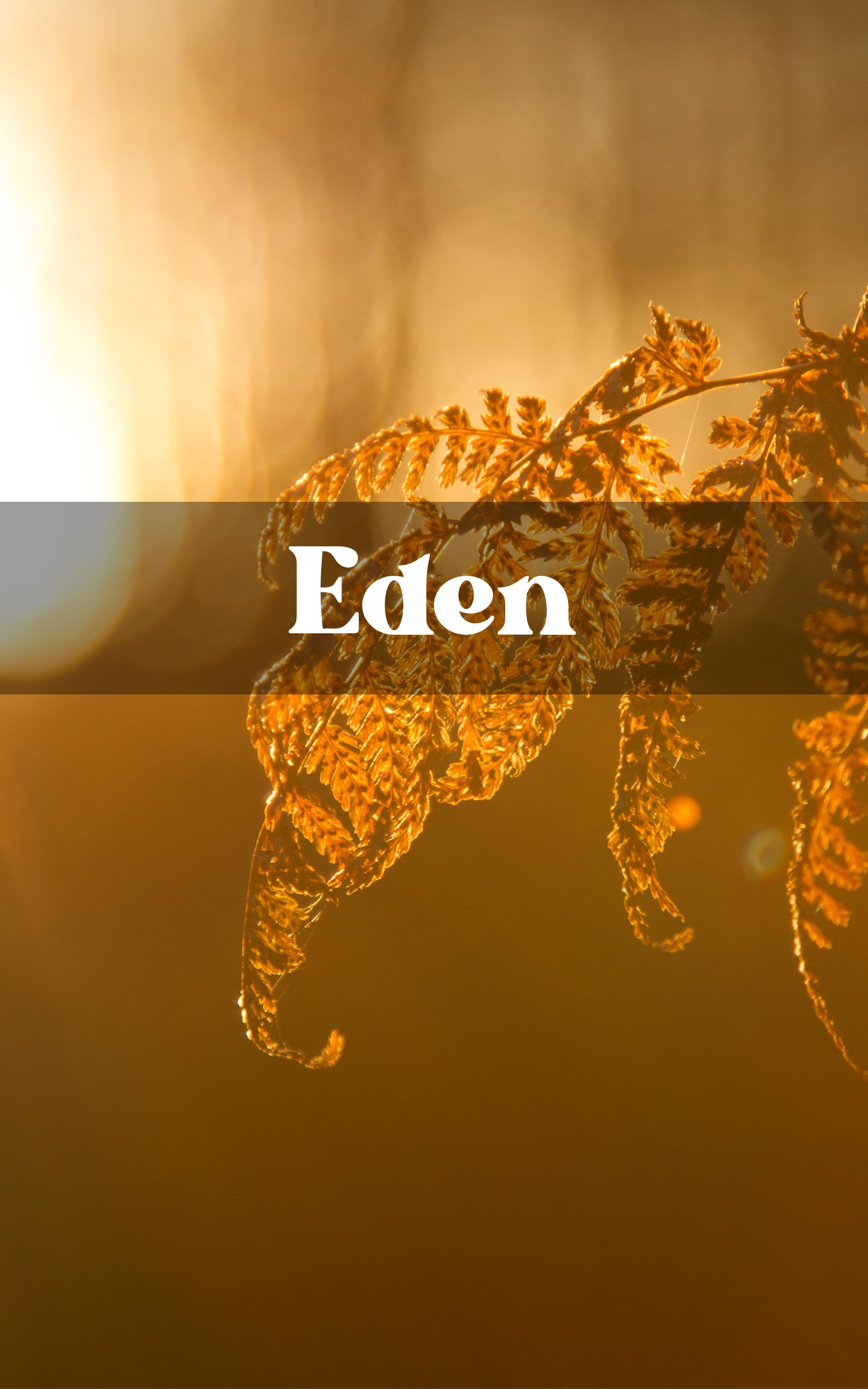 Close-up of dried leaves illuminated by warm sunlight, with the word 'Eden' overlaid on the image.