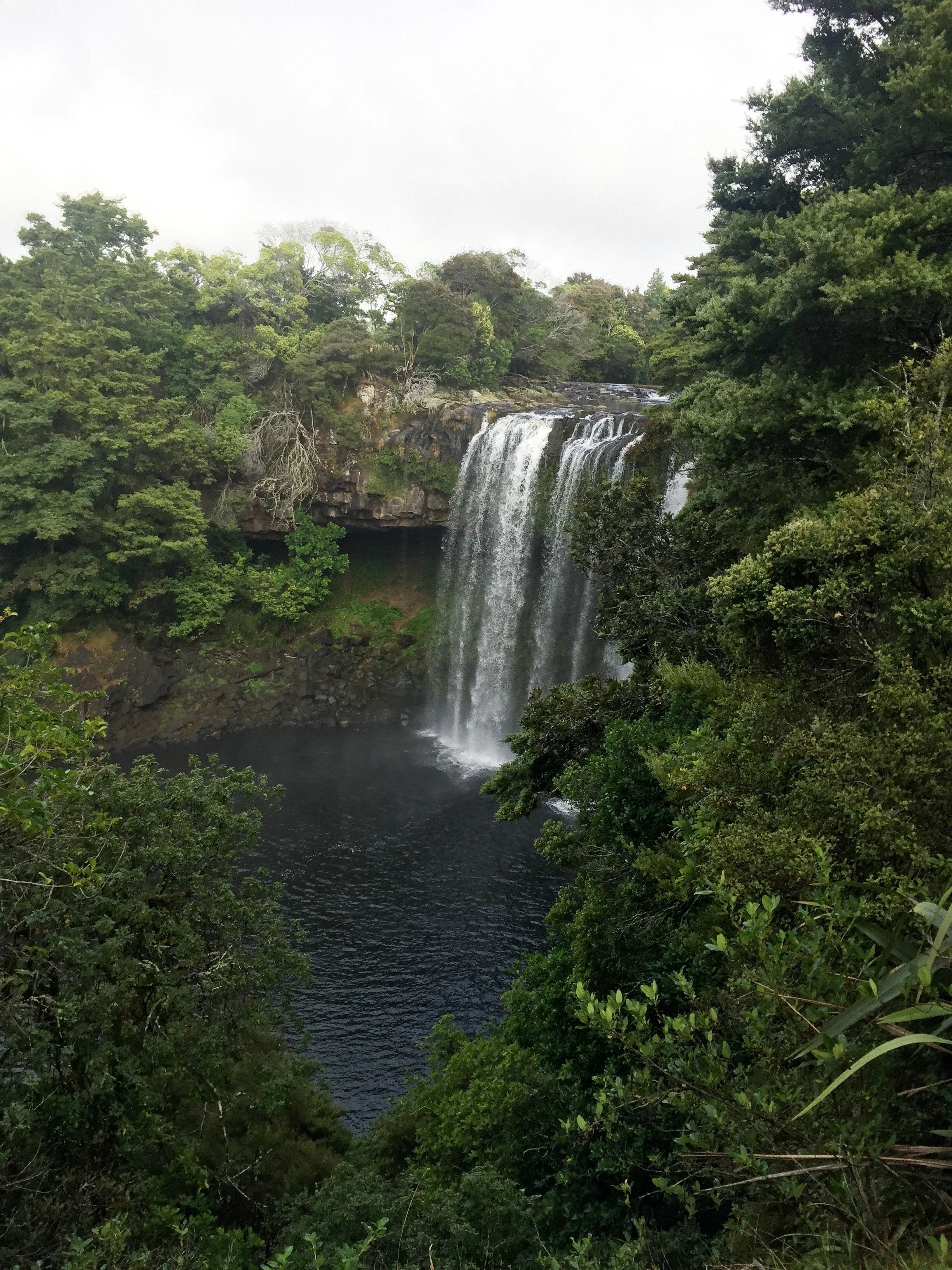 A waterfall flowing over rocks surrounded by lush green trees and foliage in a forest setting.