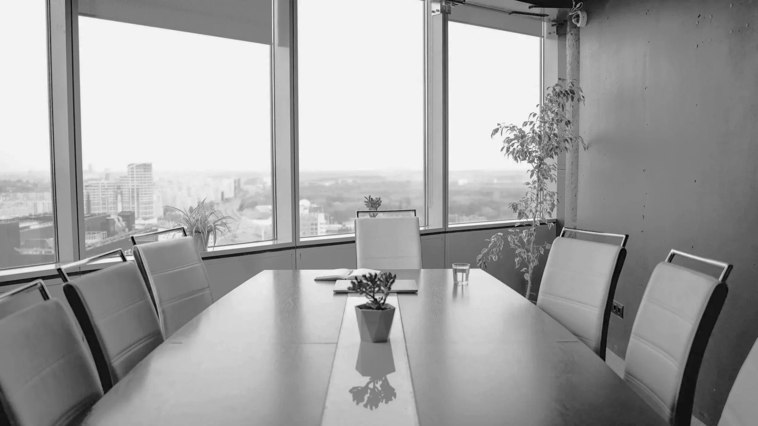 The Quietest Elephant in the Boardroom: Why Ignoring Emotion Costs Performance