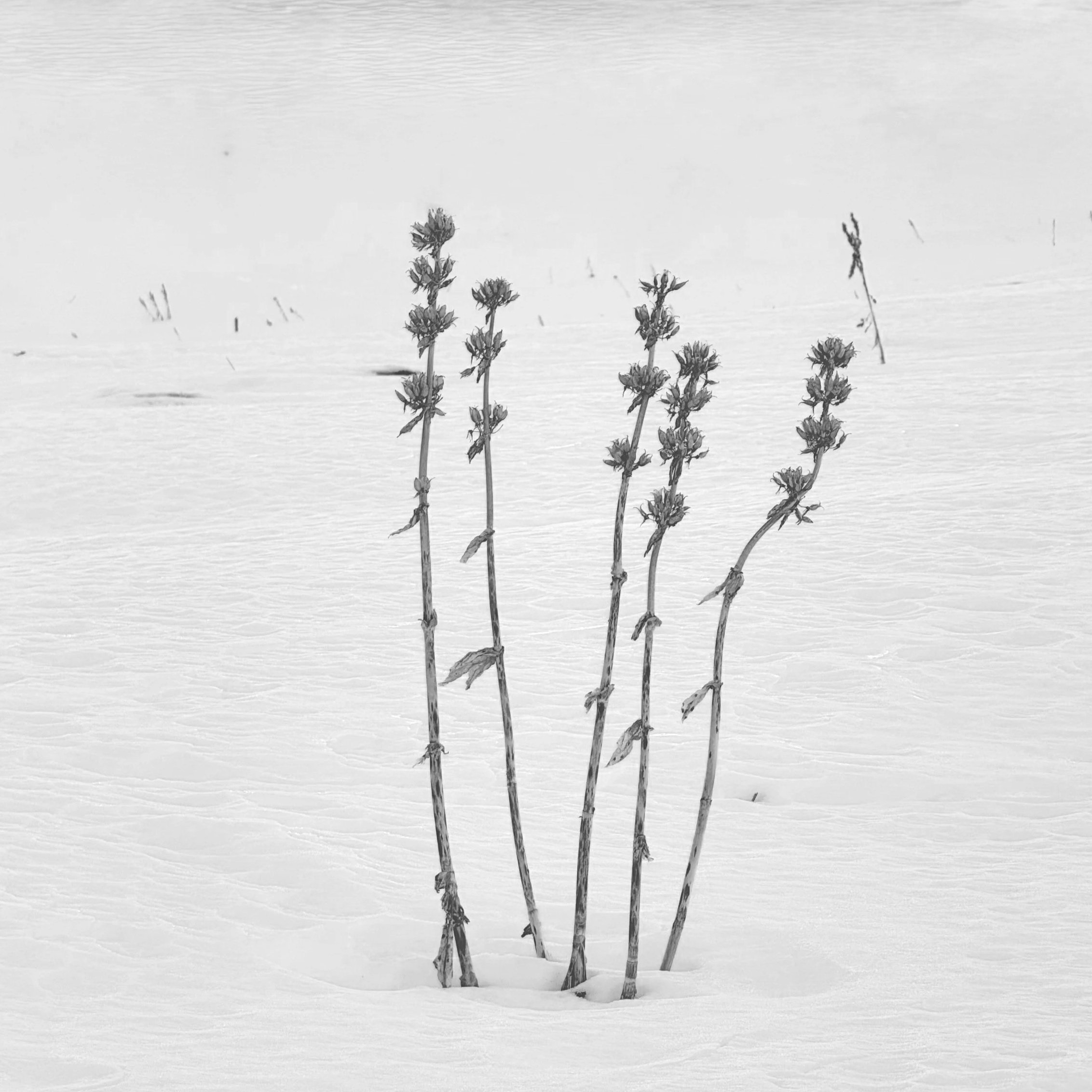 Motion or Direction? What January Reveals About Leadership