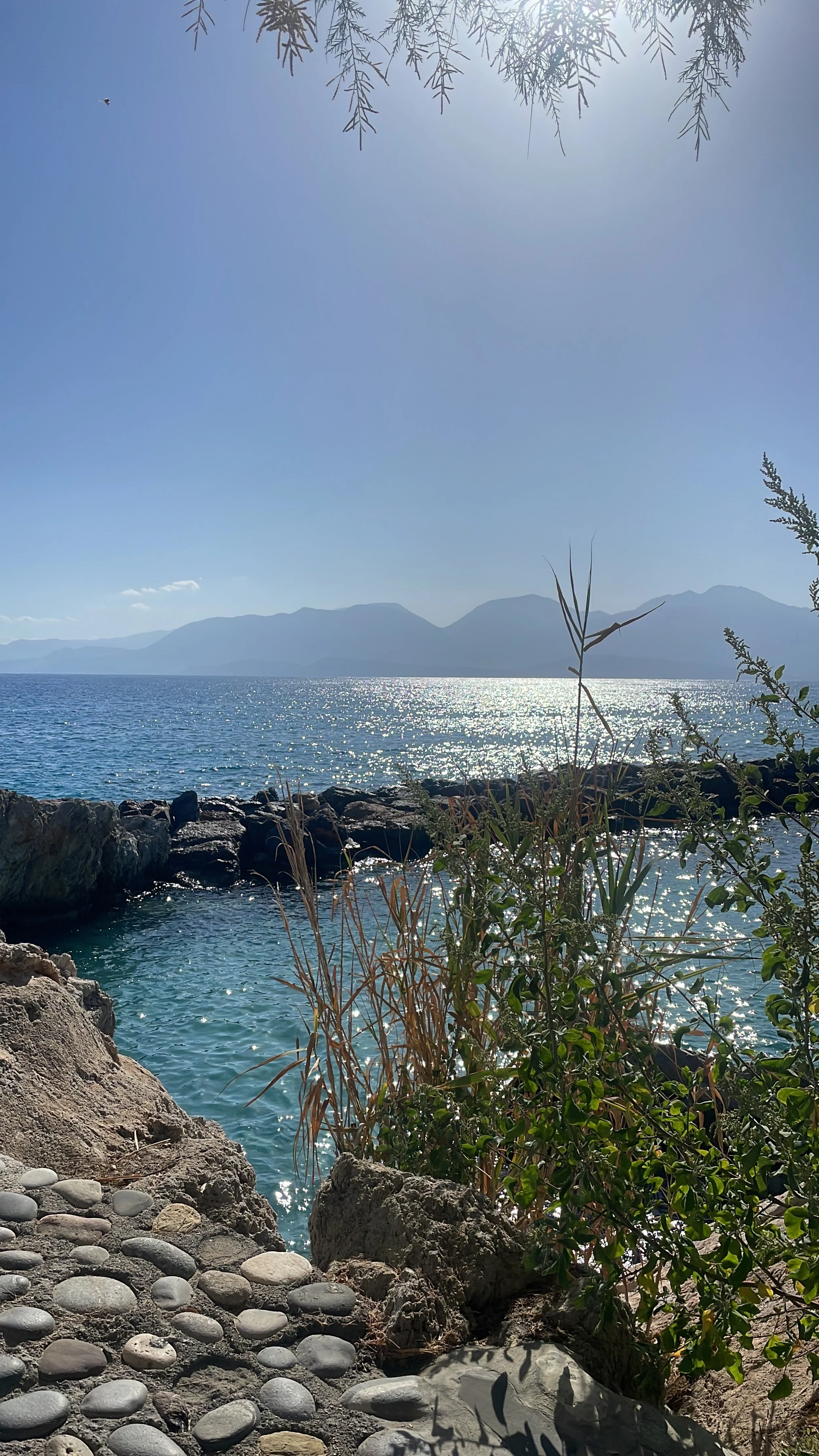 1:1 Individual Somatic Sessions & Support