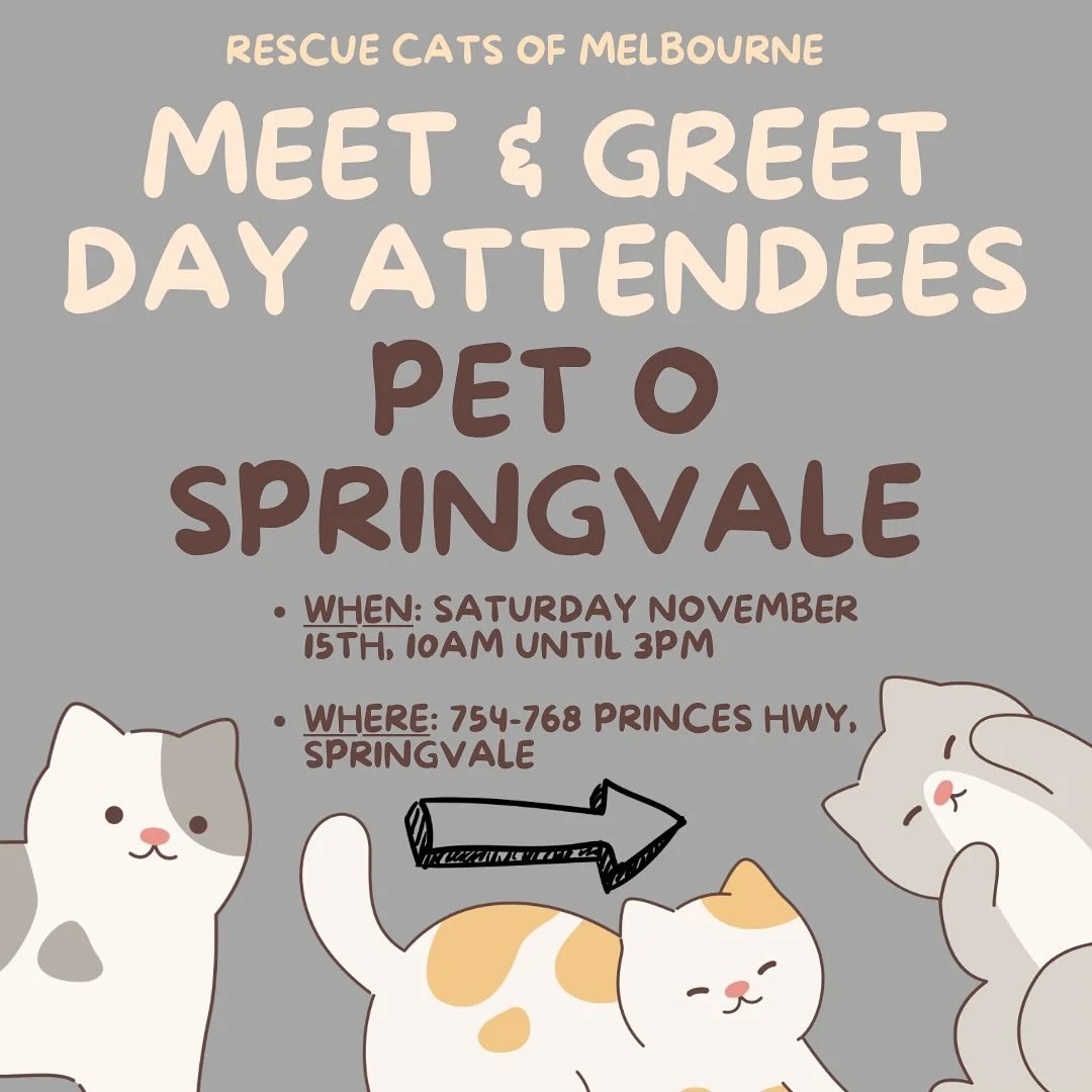 🚨‼️MEET AND GREET DAY THIS SATURDAY‼️🚨🎉

We have some adorable cats and kittens who are ready to find their forever homes! Join us at Pet O in Springvale on Saturday the 15th of November for our Meet and Greet event! 

📍 Meet our playful, cuddly,