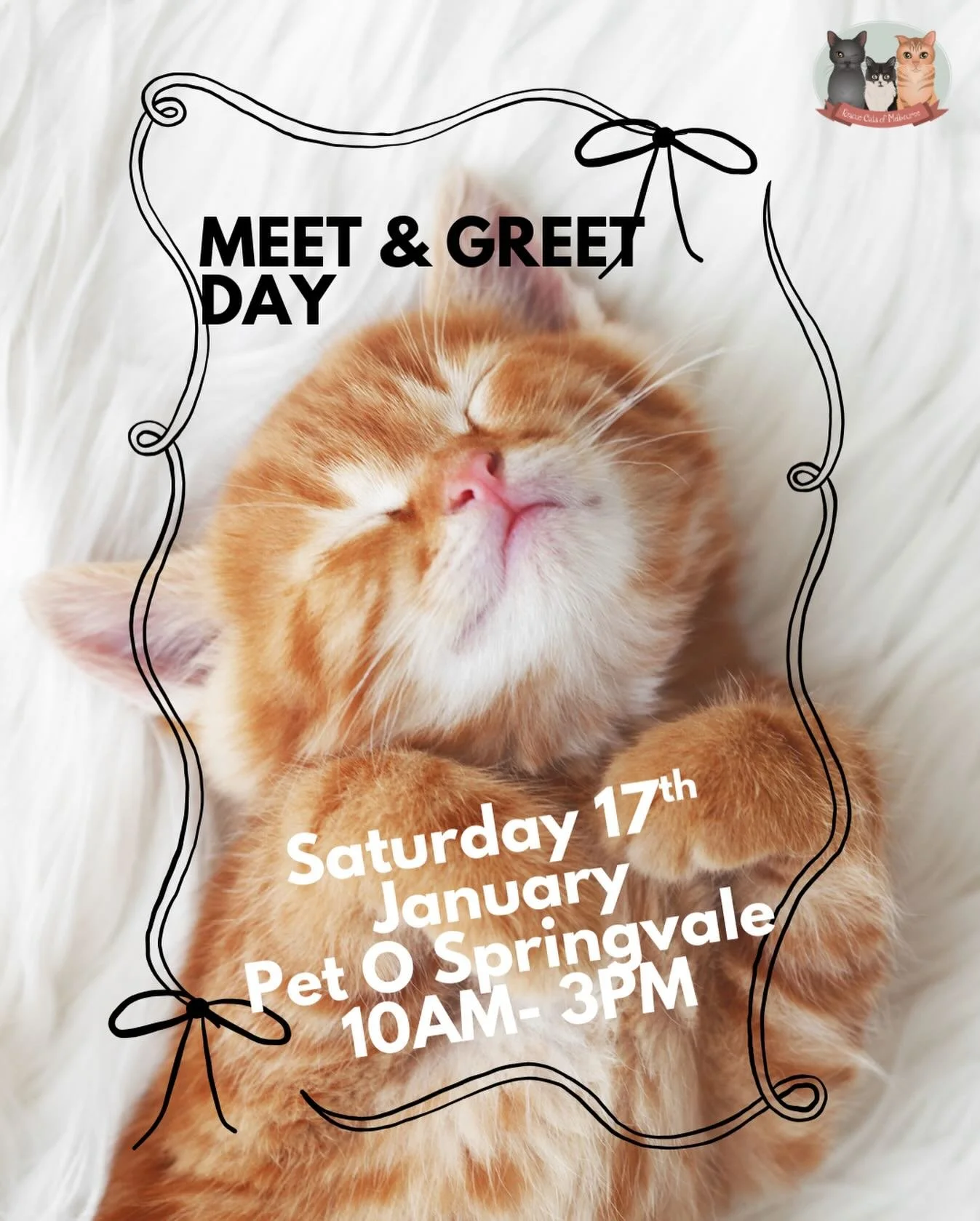 📣🎊It&rsquo;s our first meet and greet event of 2026🎊❤️Our next cat and kitten Meet &amp; Greet Day is happening on Saturday January 17th from 10 AM until 3 PM at PetO Springvale📣🌺☀️

If you&rsquo;re looking for a new furry family member, this is