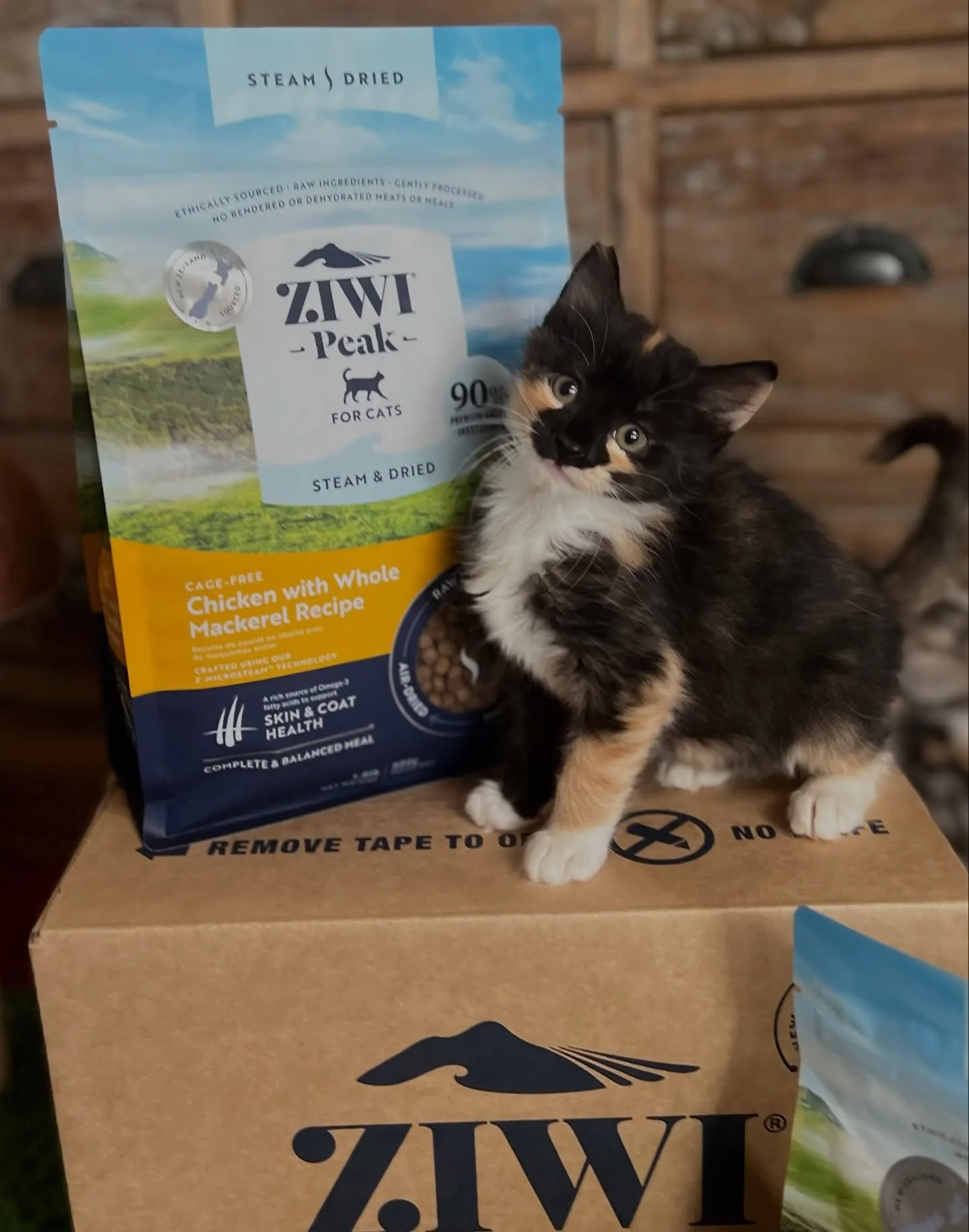 We would like to extend our heartfelt thanks to @animalrescuecooperative (ARC) and @ziwipets_ for their incredibly generous donation to our rescue.

Right now, we have over 330 cats and kittens in care, and like many in the rescue community, we are f
