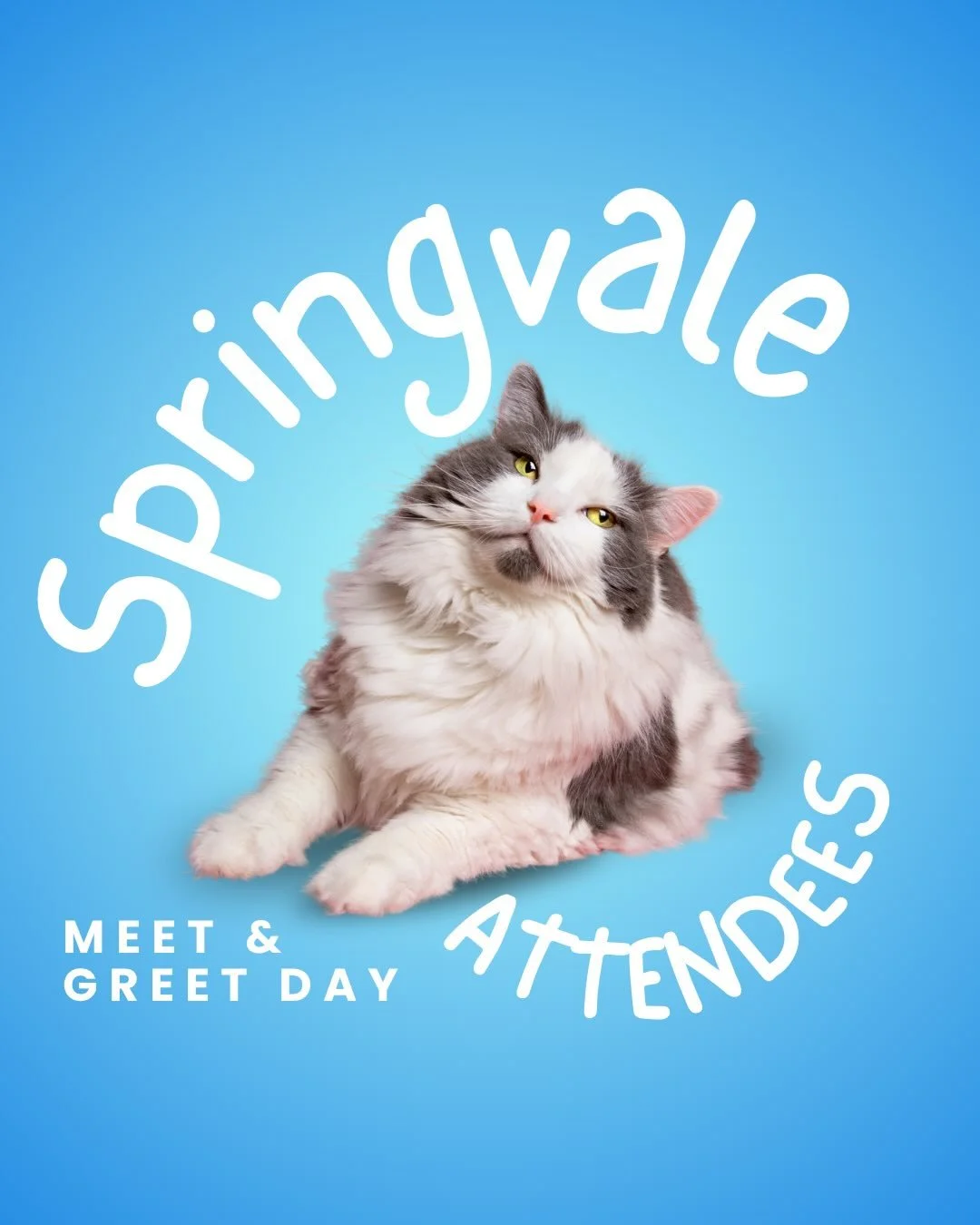 🩵🩵🩵MEET &amp; GREET DAY CELEBRATING NATIONAL PET DAY🩵🩵🩵

We have over FORTY cats and kittens looking for their forever homes!

Join us at Pet O in Springvale on Saturday the 11th of April for our very special Meet and Greet event! 

📍 Meet our