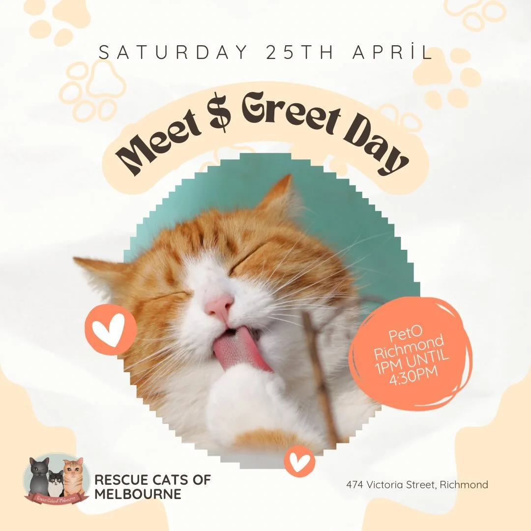 No, you&rsquo;re not seeing things! 😅 Yes, we did post this last night, but we had a quick timing change and wanted to re-upload to make sure you have the right details.

NEW LOCATION UNLOCKED 🔓 We are so excited to announce we&rsquo;ll be at Pet O