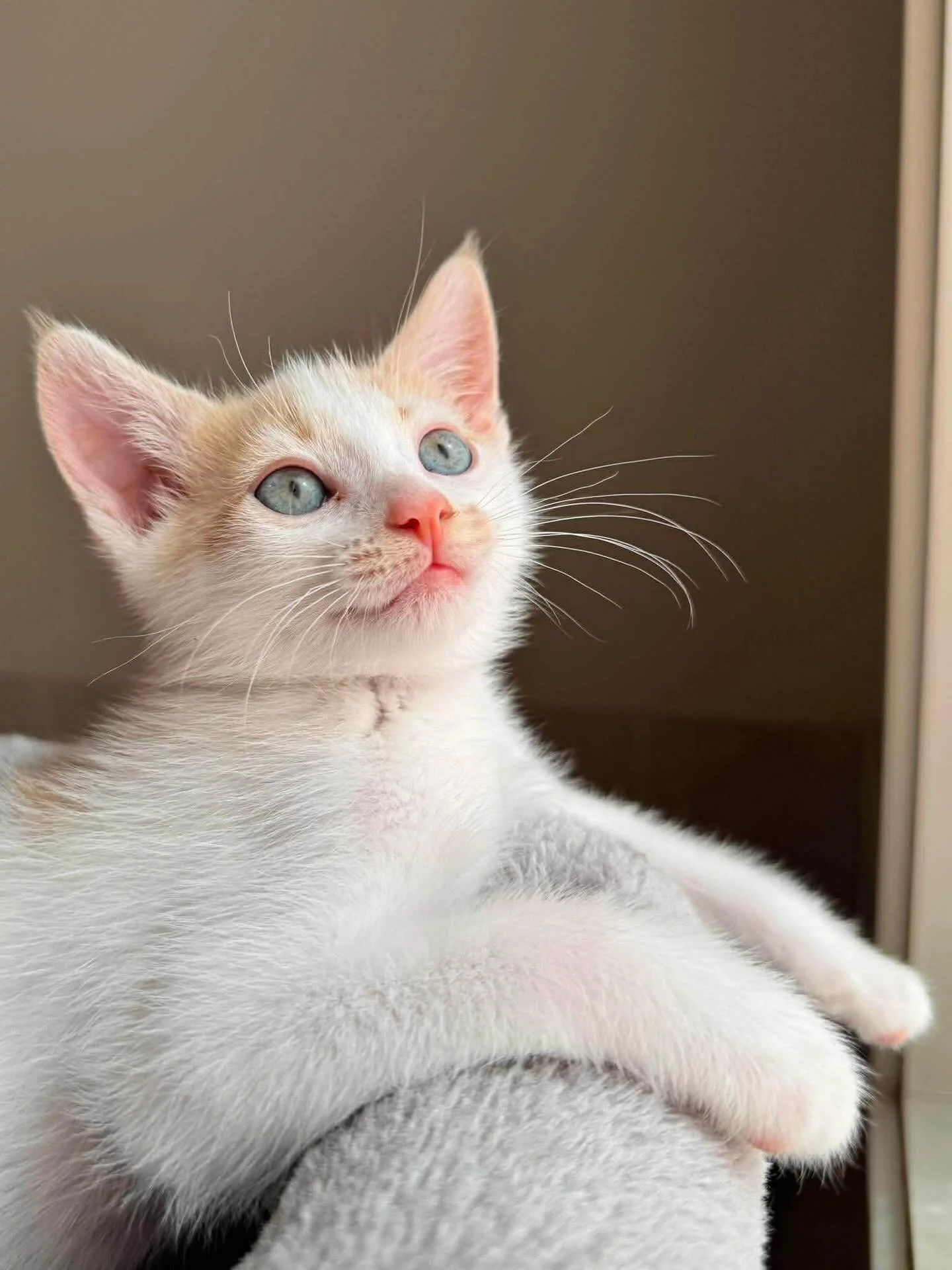 Expressions of Interest Now Open!🧡

We are so excited to announce that expressions of interest are now officially open for our upcoming event!

We would love for you to join us on Saturday, April 25th, from 1:00 PM to 4:30 PM. It&rsquo;s set to be a