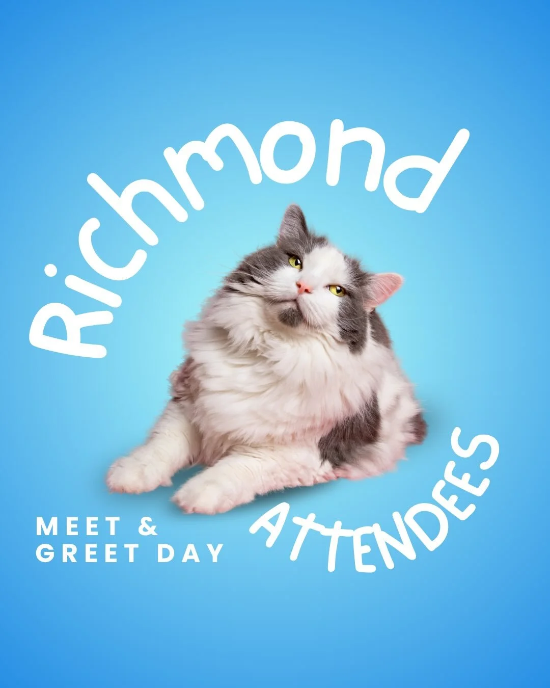 🩵🩵🩵MEET &amp; GREET DAY IN RICHMOND🩵🩵🩵

We have over thirty cats and kittens looking for their forever homes!

Join us at Pet O in Richmond Saturday the 25th of April for our very special Meet and Greet event! 

📍 Meet our playful, cuddly, and