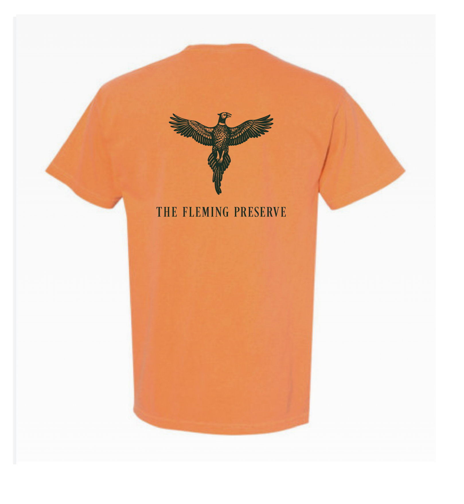 Screenshot 2026-03-14 at 3.10.00 PM.png