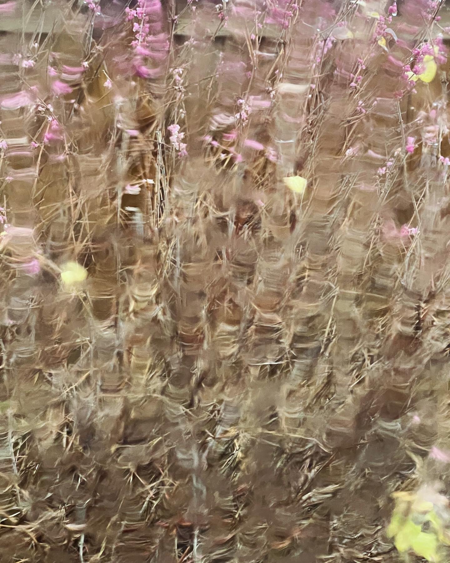 17314889-8D26-492C-9C78-66EABA7A7F03 2.JPG