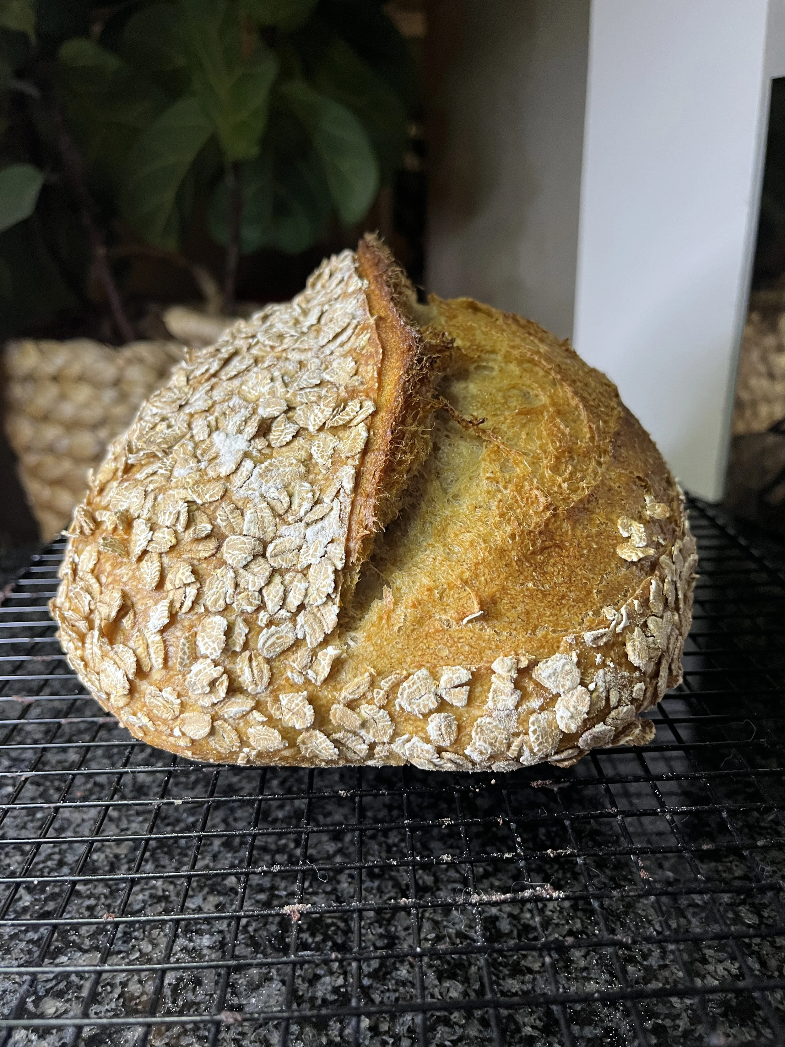 En skål med nybakat bröd täckt av havregrynsflingor, placerad på ett svart galler utomhus.