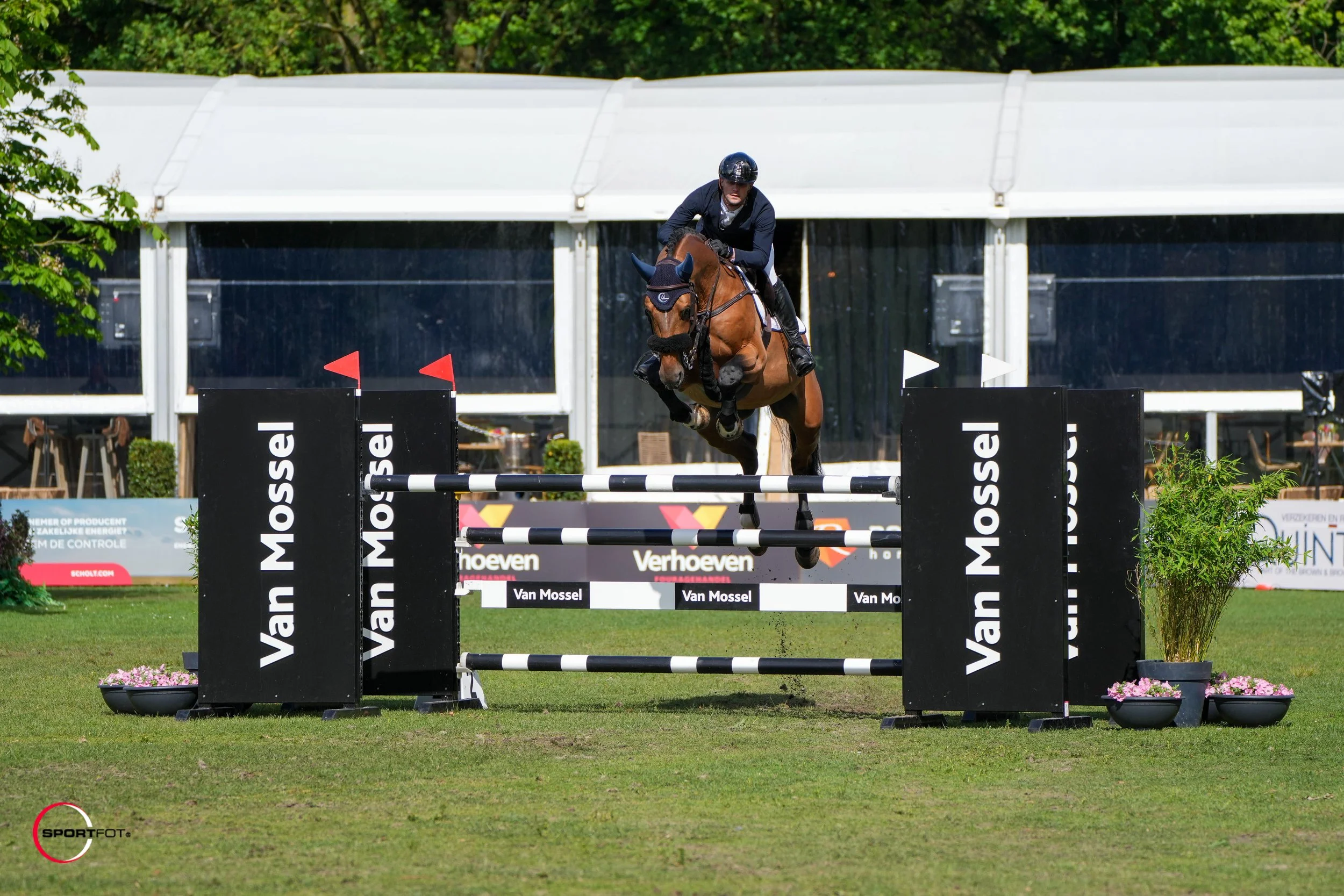 ClipMyHorse.tv Prix: Doron Kuipers on a winning streak