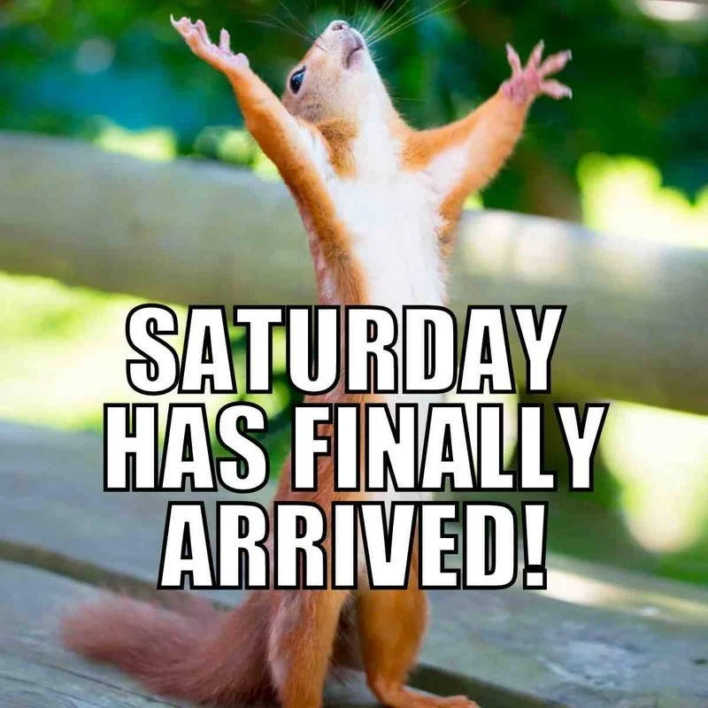 Saturday plans? We&rsquo;ve got &lsquo;em covered. 🍻🏒🏀⚾️

Swing by Delaney&rsquo;s this Saturday for cold pours, wall-to-wall action on the big screen TVs, and 42 beers on tap ready to kick your weekend into gear. Don&rsquo;t miss our Saturday bee