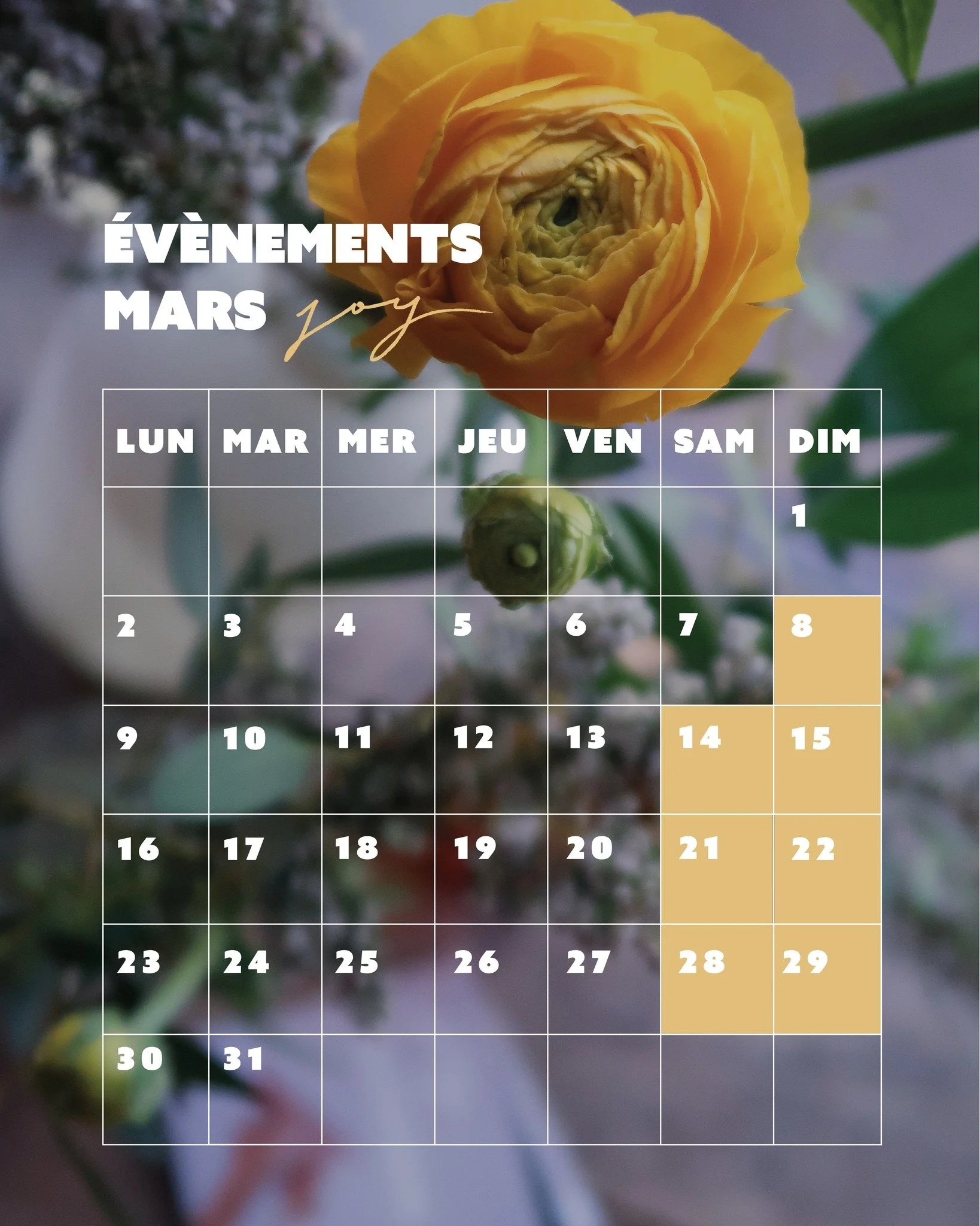 Mars chez Joy 🌼

Le printemps pointe le bout de son nez et avec lui une jolie s&eacute;lection de workshops de yoga et de cours de cuisine. 
Nous vous avons pr&eacute;par&eacute; de quoi apprendre, vous r&eacute;galer, ralentir, pr&eacute;parer un n